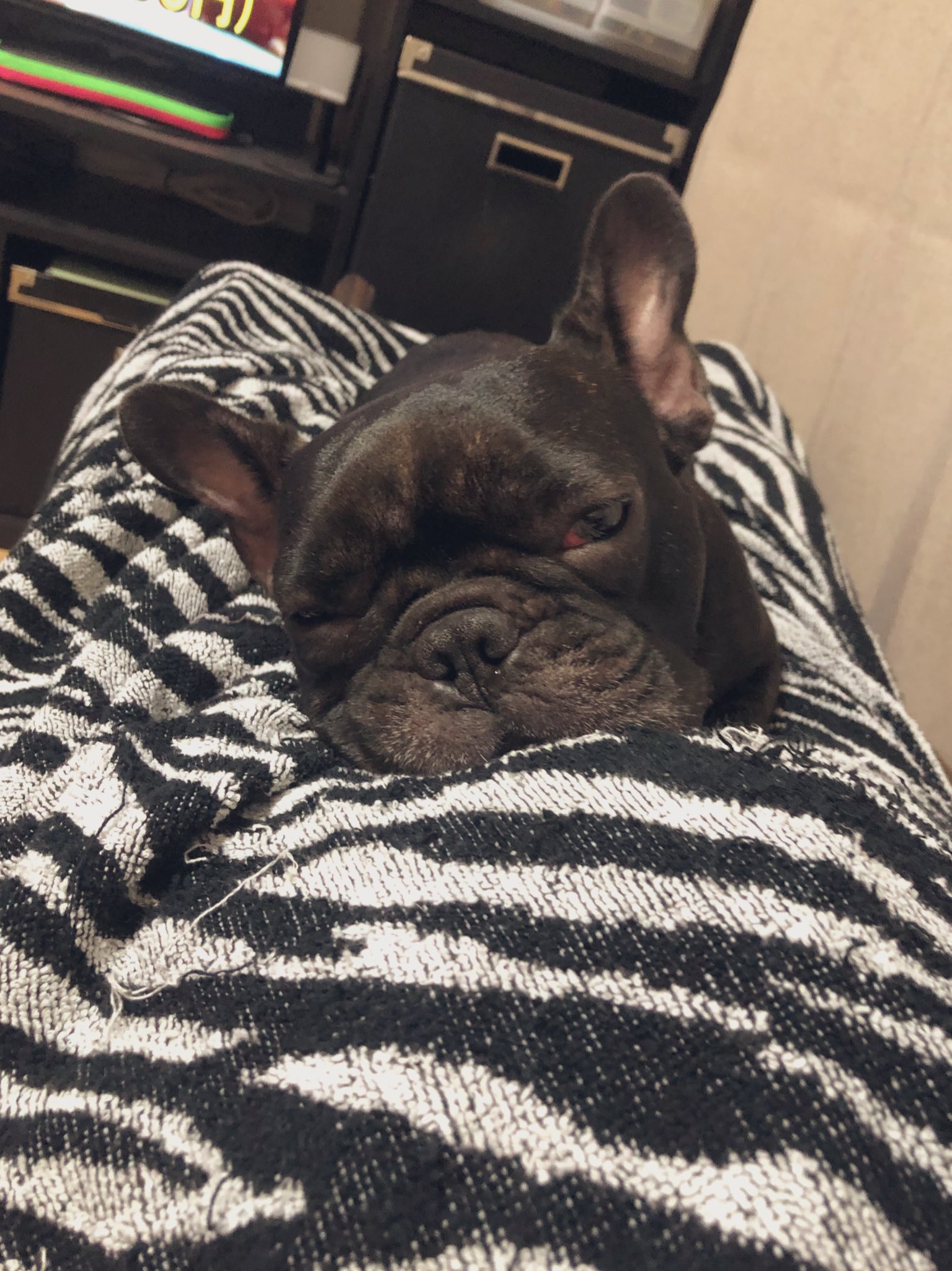 日本coser-いくみ – (193iKkyu3) [Twitter] (10.11.2022) [2476P116V-1.04GB]_第52集