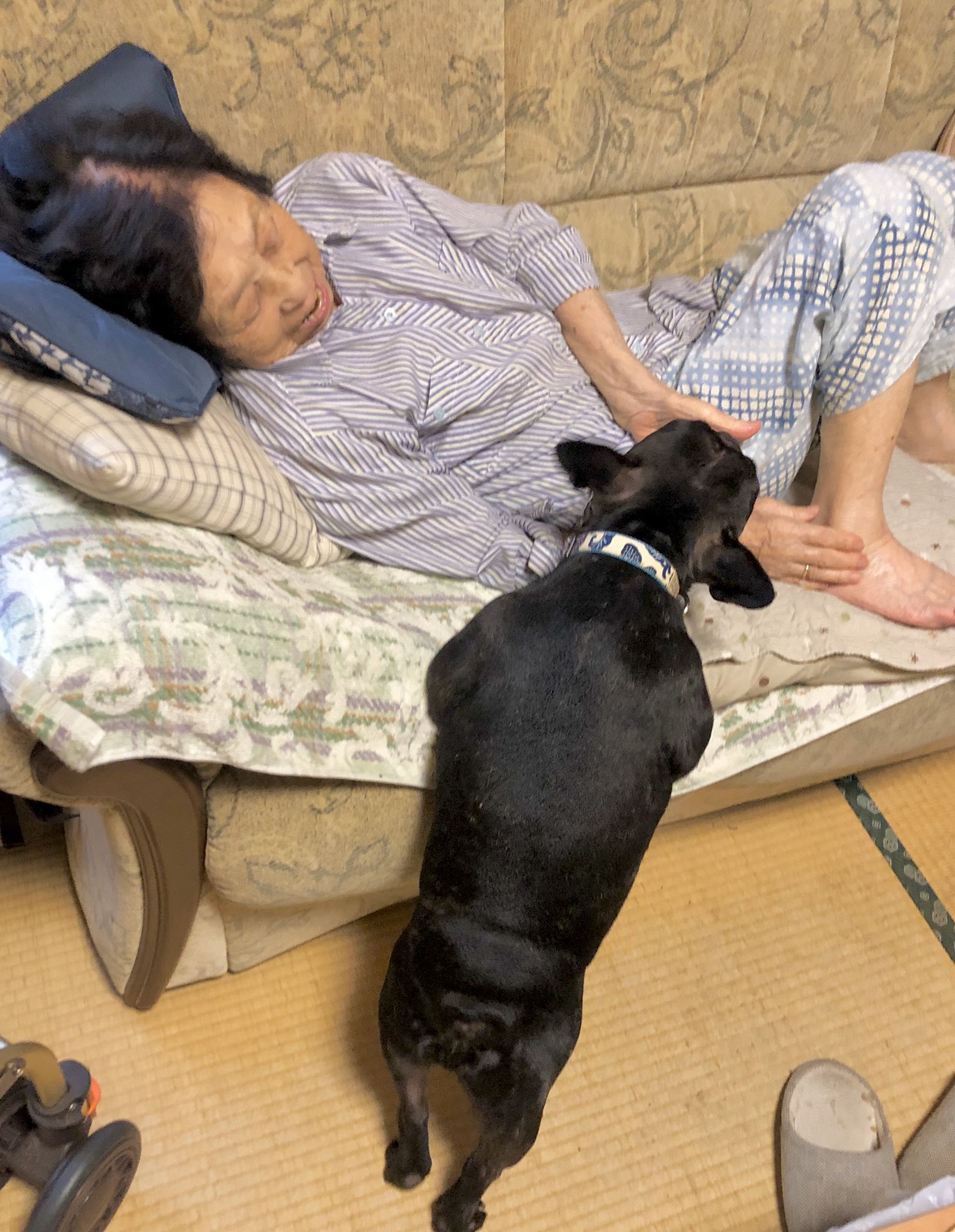 日本coser-いくみ – (193iKkyu3) [Twitter] (10.11.2022) [2476P116V-1.04GB]_第52集