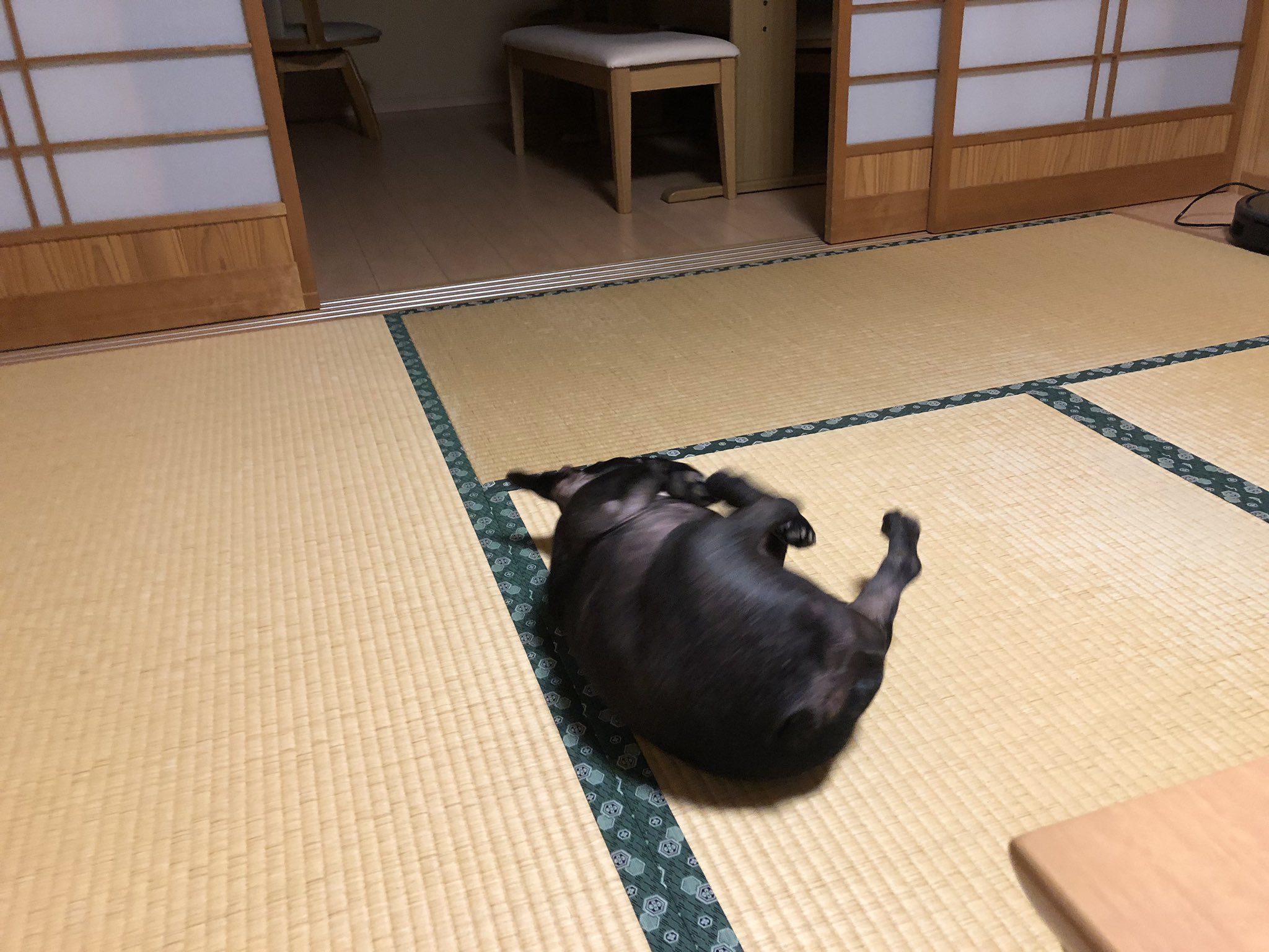 日本coser-いくみ – (193iKkyu3) [Twitter] (10.11.2022) [2476P116V-1.04GB]_第53集