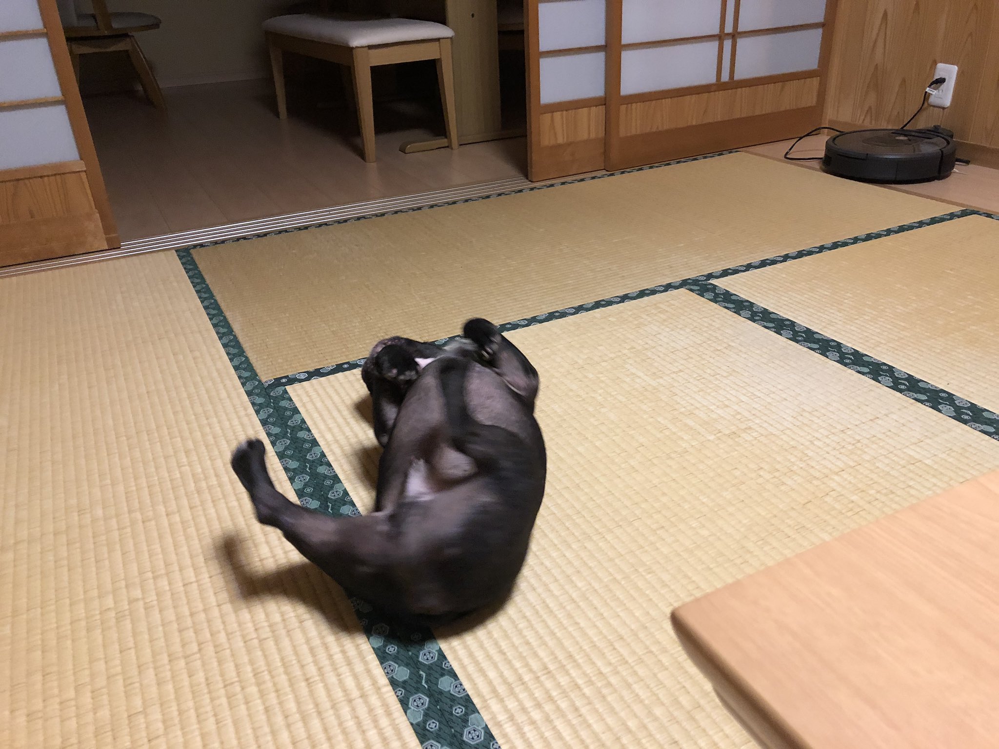 日本coser-いくみ – (193iKkyu3) [Twitter] (10.11.2022) [2476P116V-1.04GB]_第53集