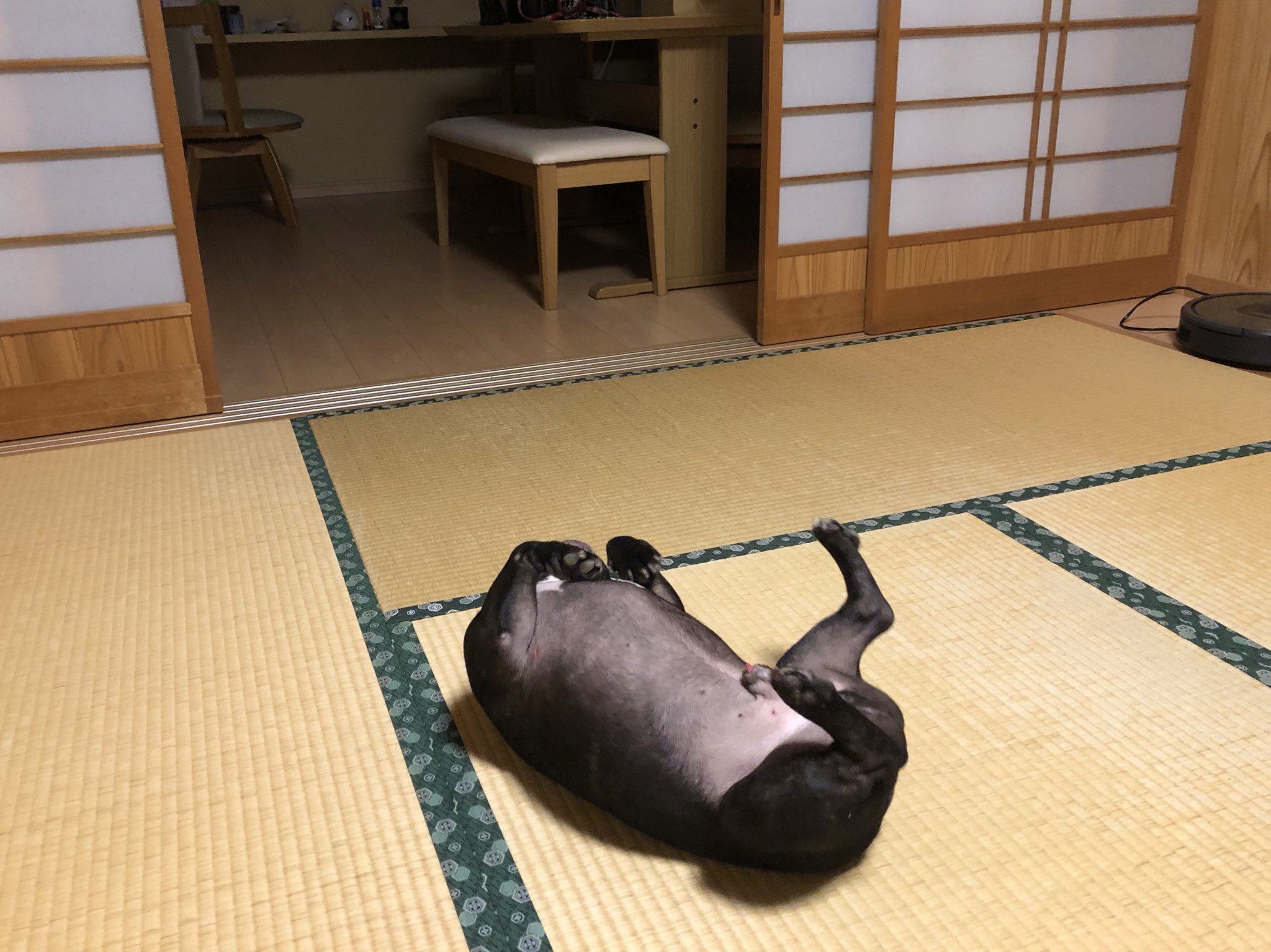 日本coser-いくみ – (193iKkyu3) [Twitter] (10.11.2022) [2476P116V-1.04GB]_第53集