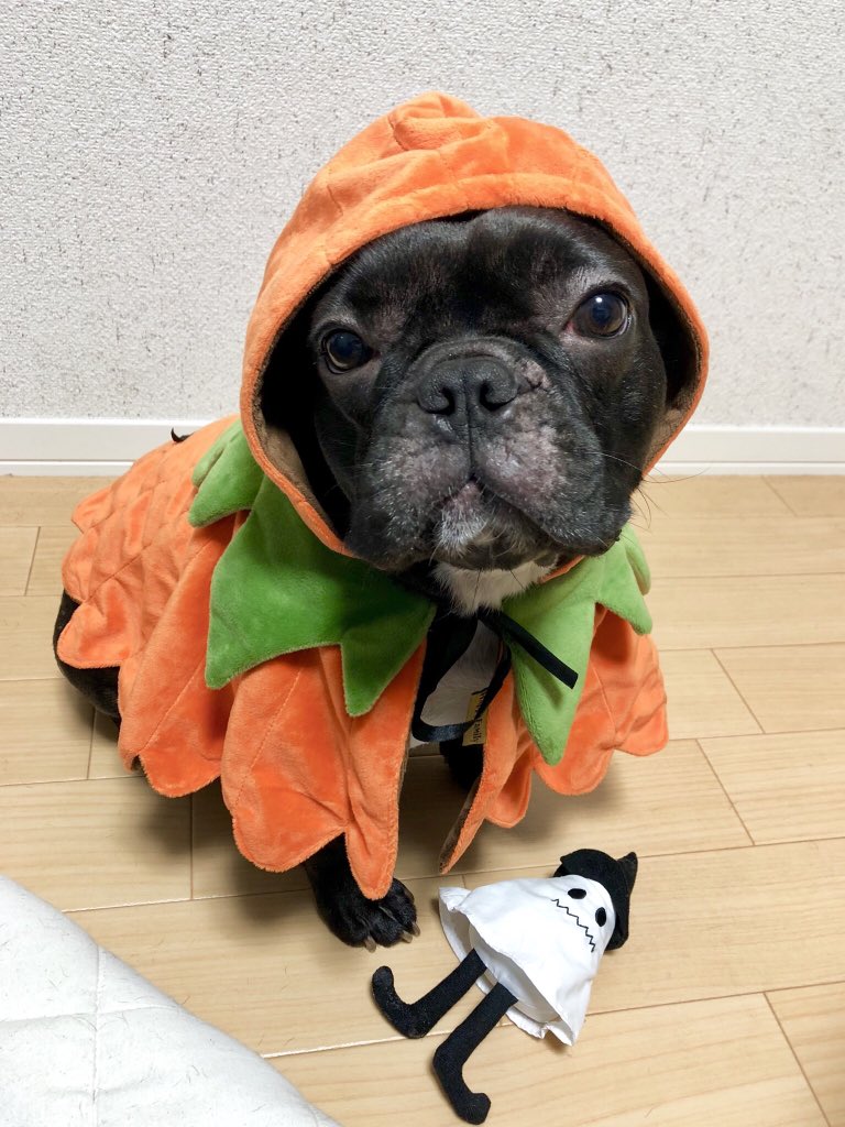 日本coser-いくみ – (193iKkyu3) [Twitter] (10.11.2022) [2476P116V-1.04GB]_第54集