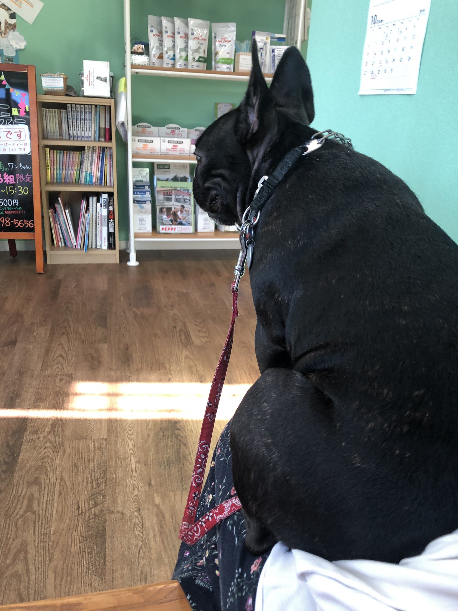 日本coser-いくみ – (193iKkyu3) [Twitter] (10.11.2022) [2476P116V-1.04GB]_第54集