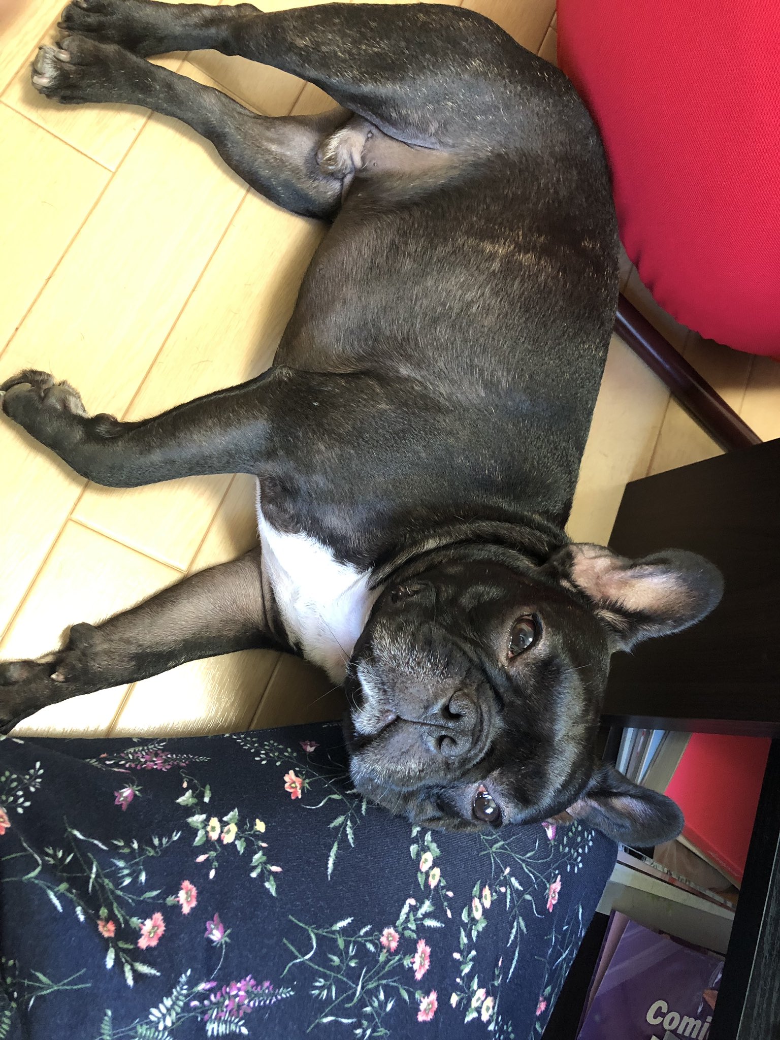 日本coser-いくみ – (193iKkyu3) [Twitter] (10.11.2022) [2476P116V-1.04GB]_第54集