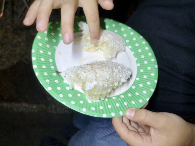 日本coser-いくみ – (193iKkyu3) [Twitter] (10.11.2022) [2476P116V-1.04GB]_第55集