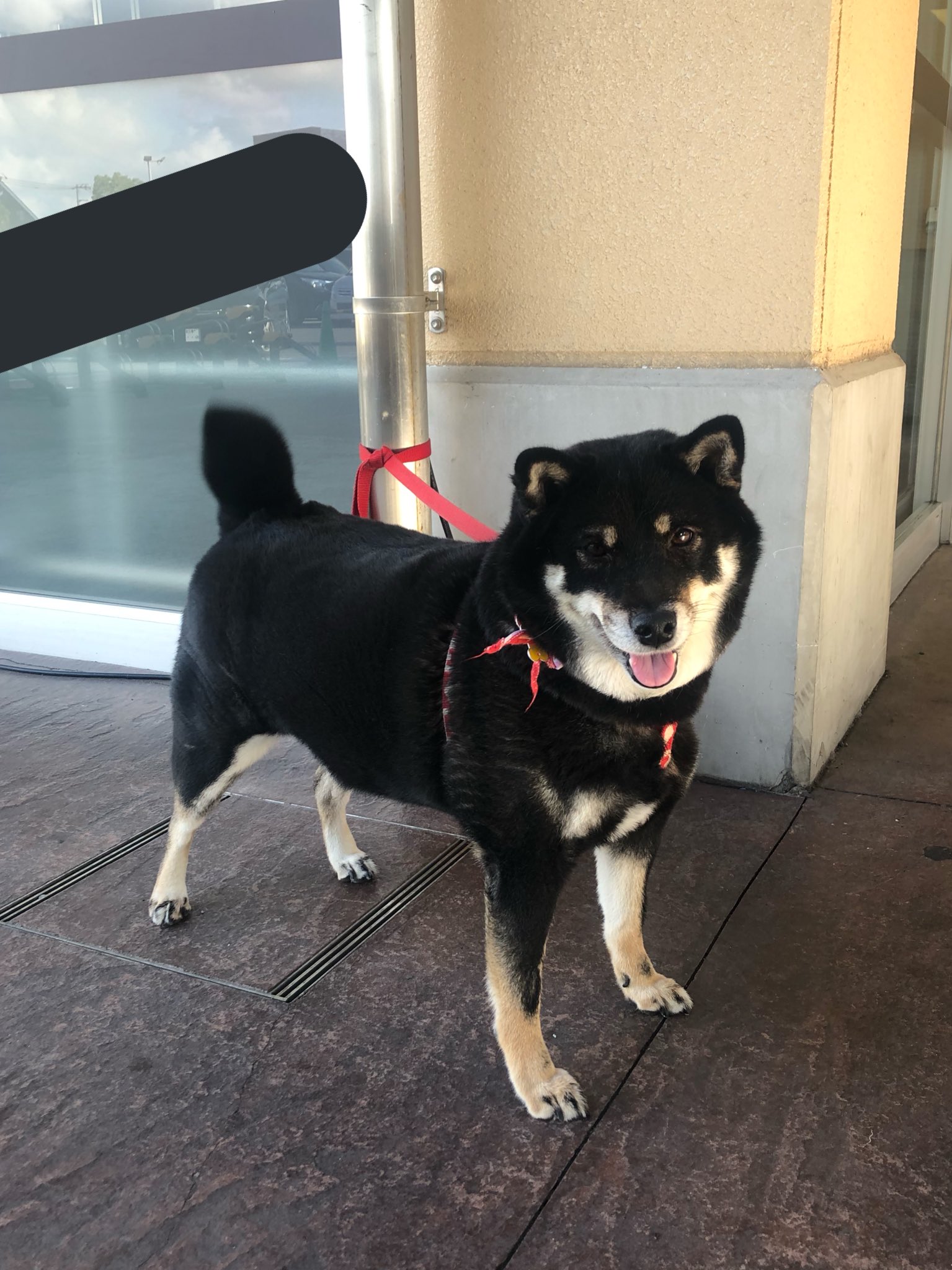 日本coser-いくみ – (193iKkyu3) [Twitter] (10.11.2022) [2476P116V-1.04GB]_第55集