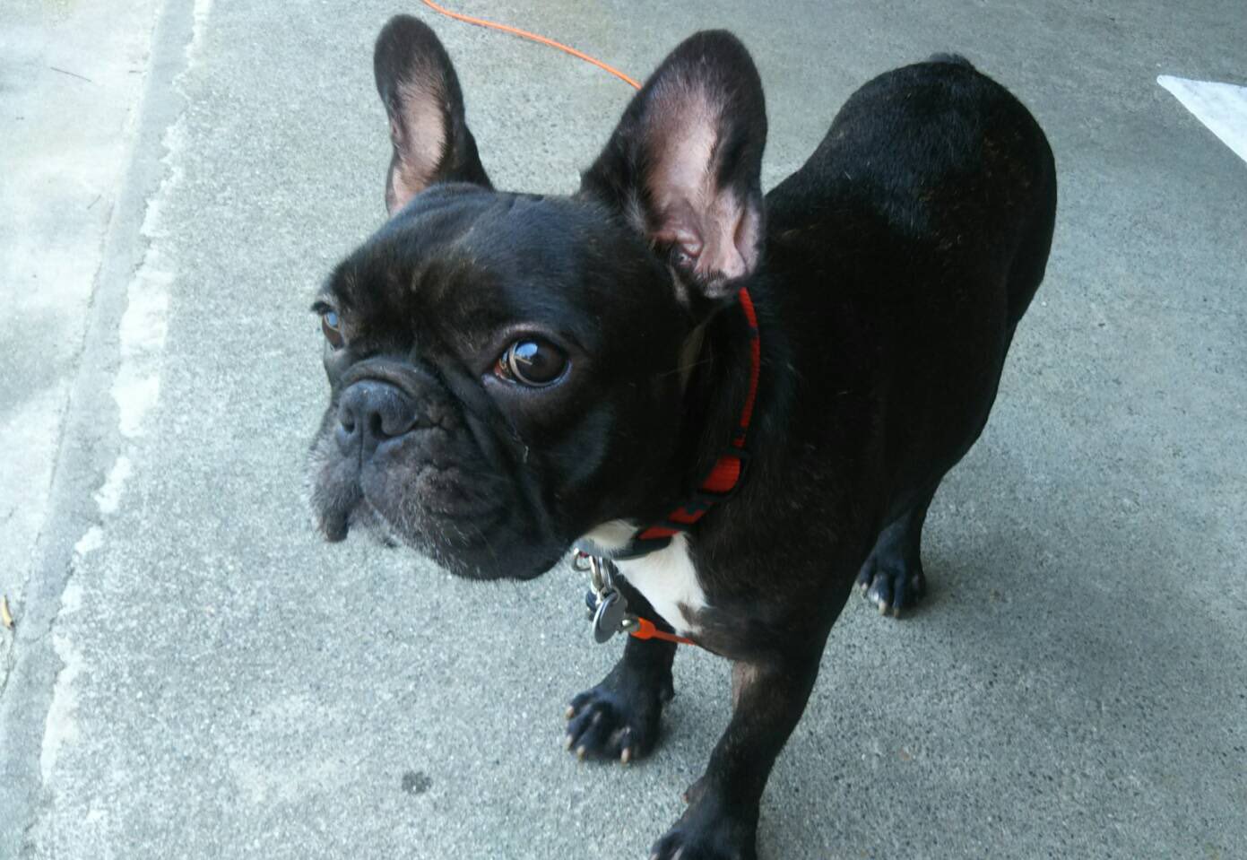 日本coser-いくみ – (193iKkyu3) [Twitter] (10.11.2022) [2476P116V-1.04GB]_第56集