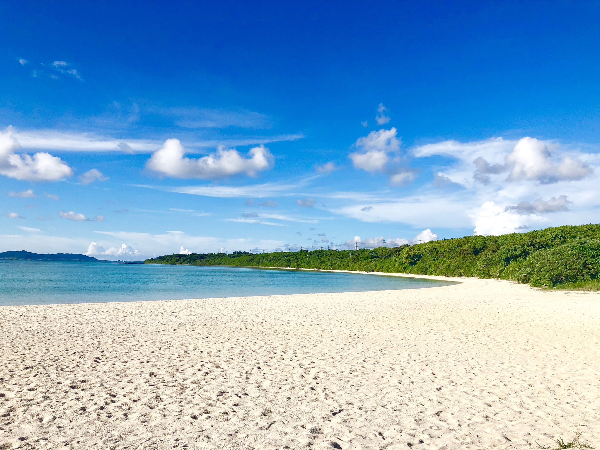 日本coser-いくみ – (193iKkyu3) [Twitter] (10.11.2022) [2476P116V-1.04GB]_第56集