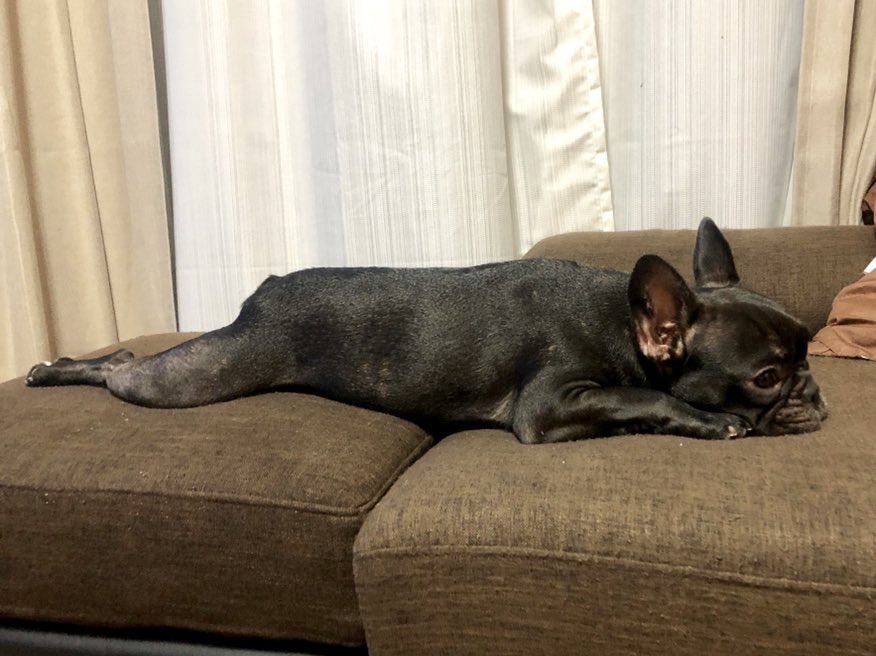 日本coser-いくみ – (193iKkyu3) [Twitter] (10.11.2022) [2476P116V-1.04GB]_第57集