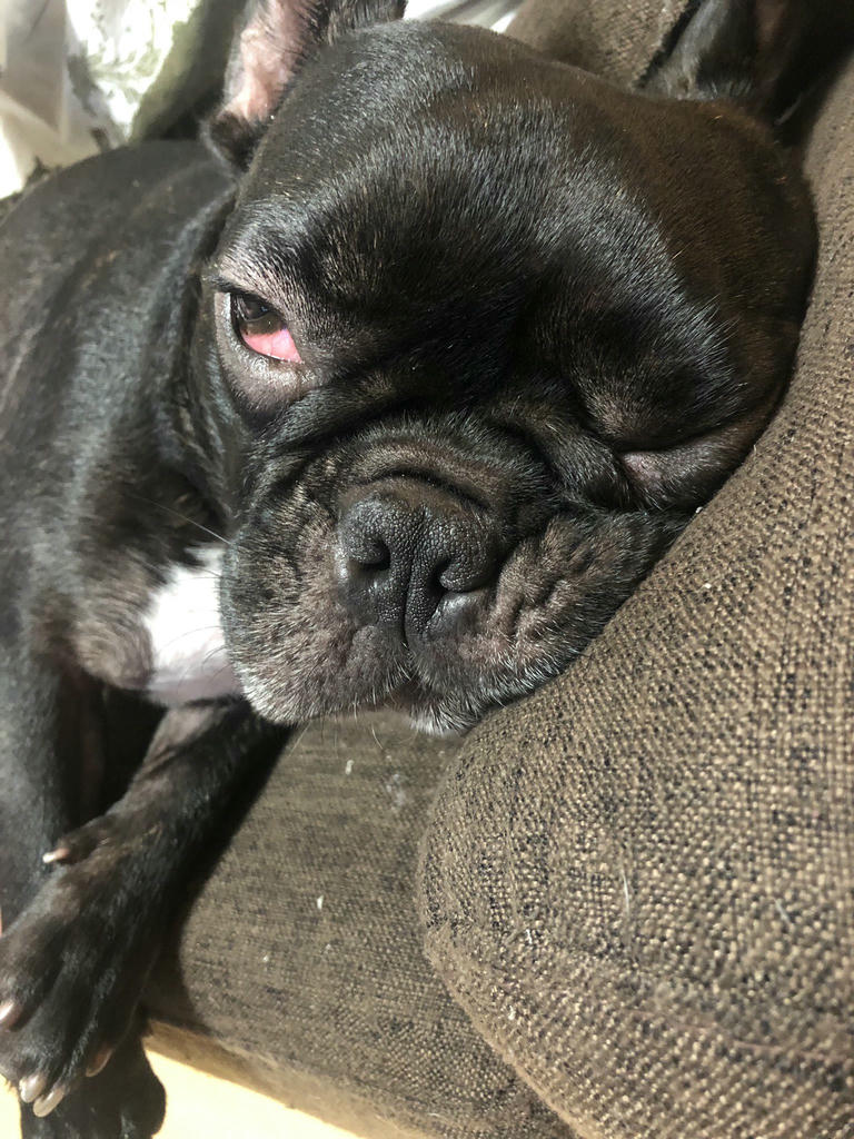 日本coser-いくみ – (193iKkyu3) [Twitter] (10.11.2022) [2476P116V-1.04GB]_第57集