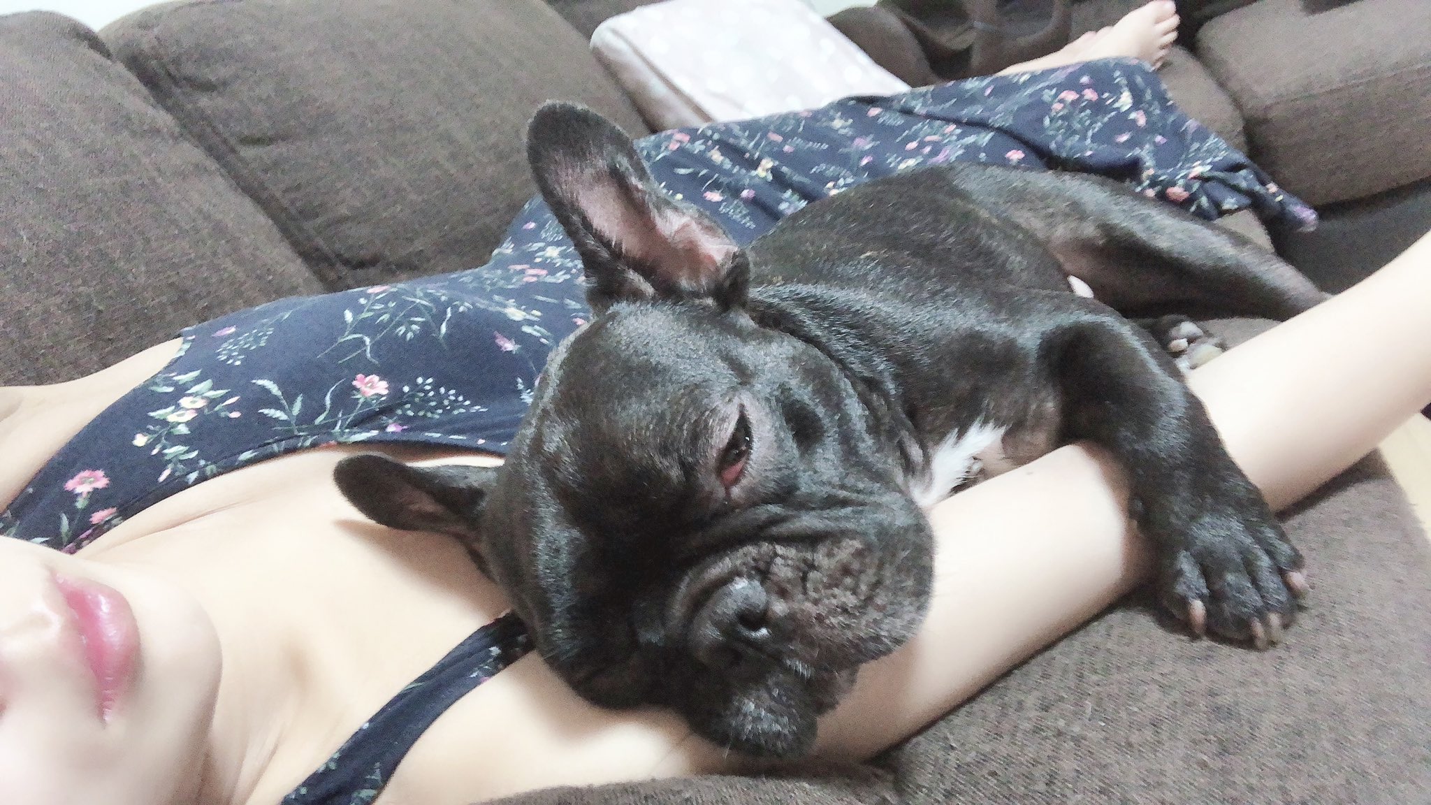 日本coser-いくみ – (193iKkyu3) [Twitter] (10.11.2022) [2476P116V-1.04GB]_第57集