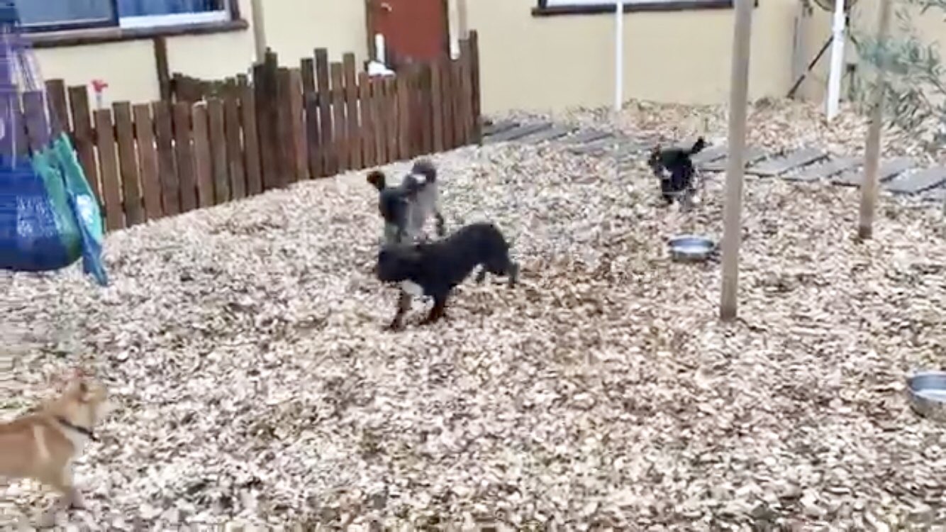 日本coser-いくみ – (193iKkyu3) [Twitter] (10.11.2022) [2476P116V-1.04GB]_第57集