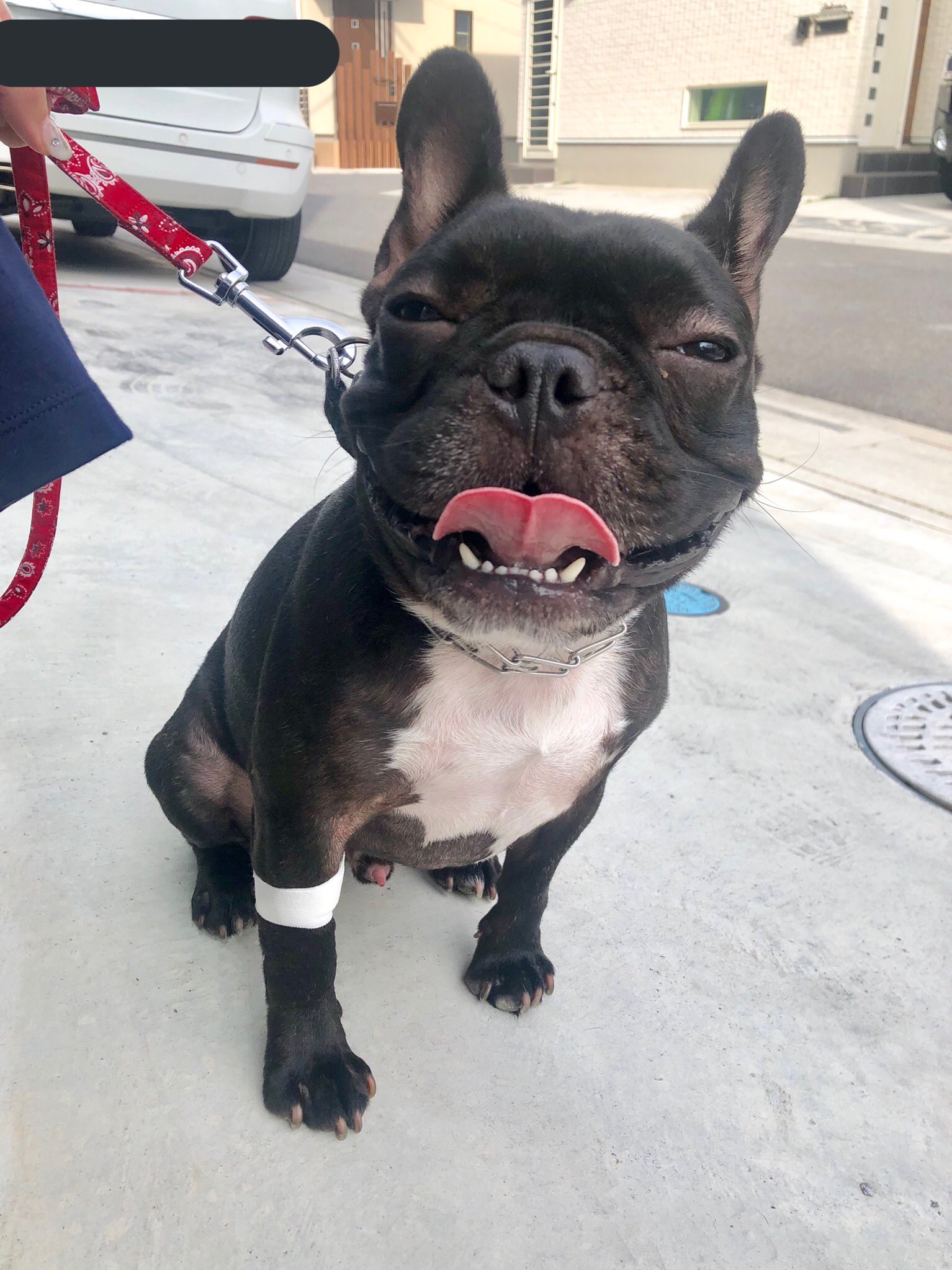 日本coser-いくみ – (193iKkyu3) [Twitter] (10.11.2022) [2476P116V-1.04GB]_第57集