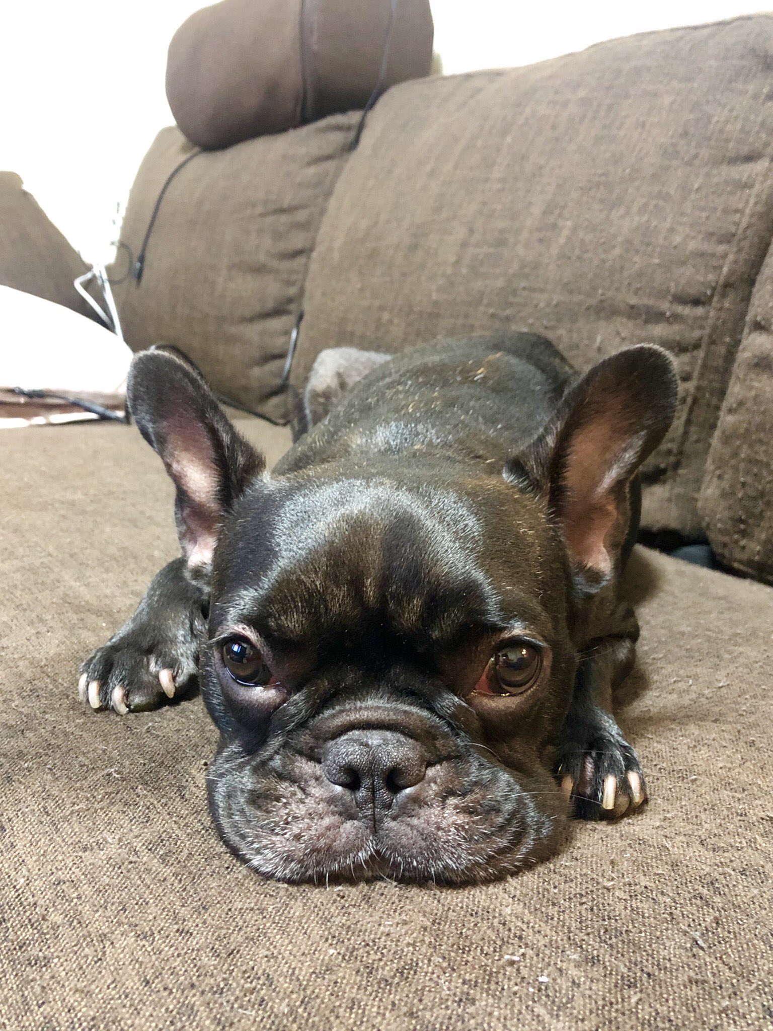 日本coser-いくみ – (193iKkyu3) [Twitter] (10.11.2022) [2476P116V-1.04GB]_第58集