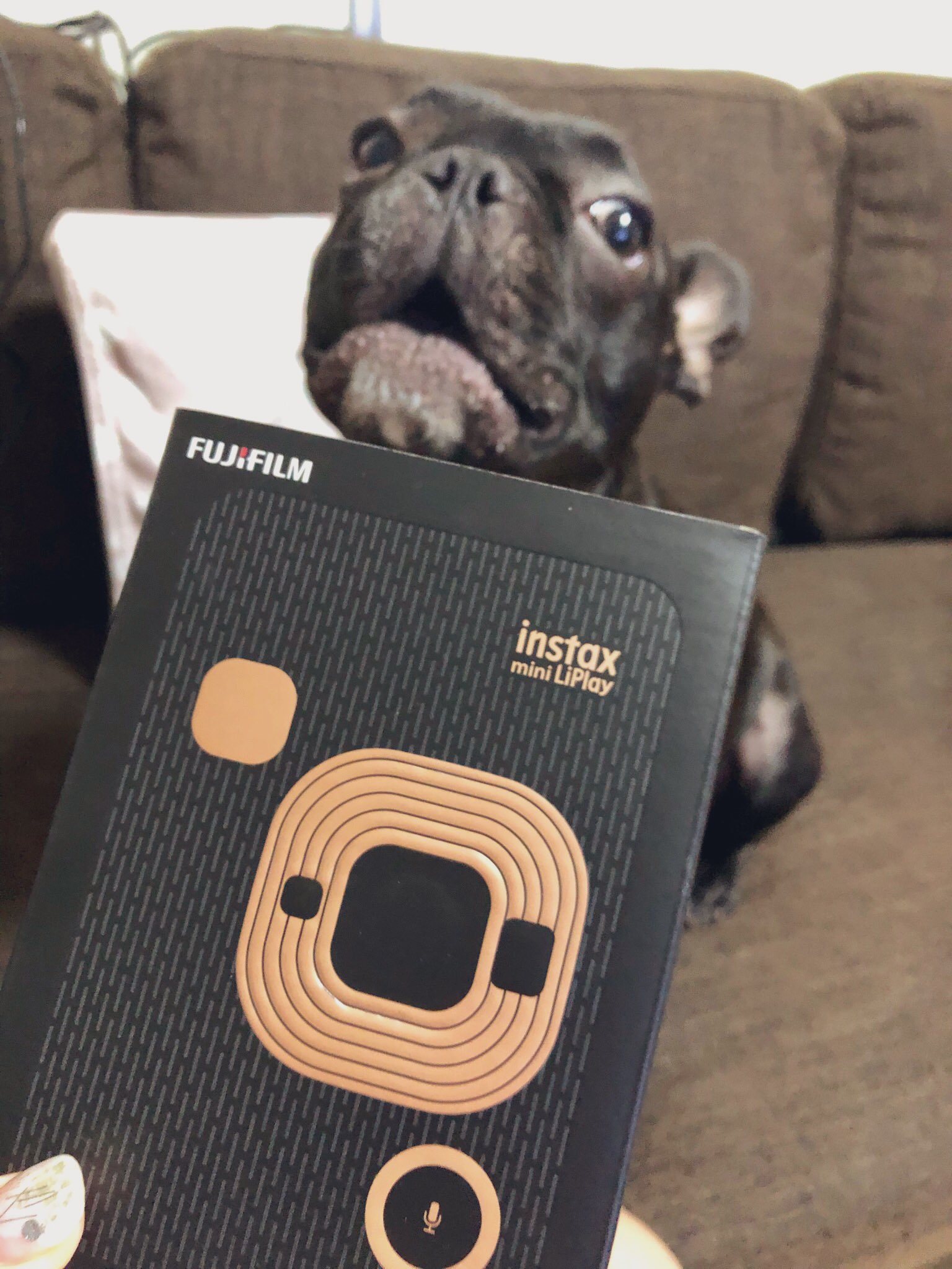 日本coser-いくみ – (193iKkyu3) [Twitter] (10.11.2022) [2476P116V-1.04GB]_第58集