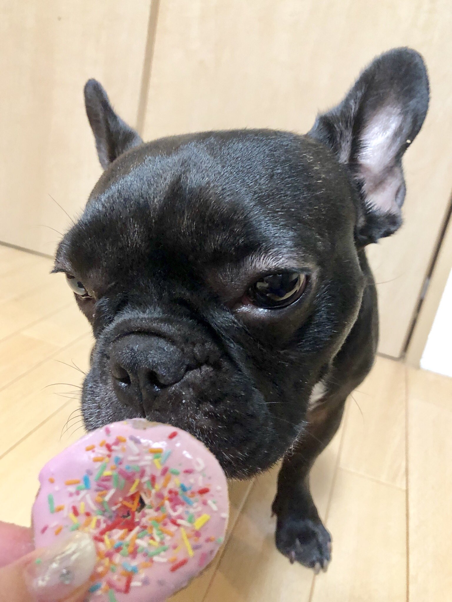 日本coser-いくみ – (193iKkyu3) [Twitter] (10.11.2022) [2476P116V-1.04GB]_第58集