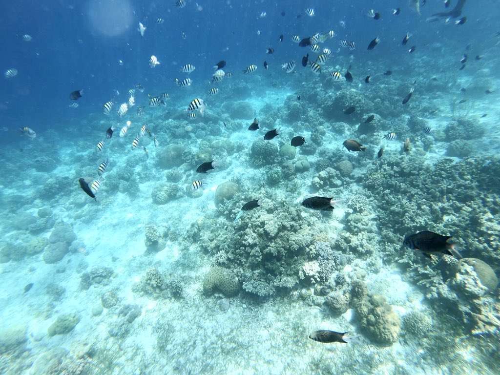 日本coser-いくみ – (193iKkyu3) [Twitter] (10.11.2022) [2476P116V-1.04GB]_第60集