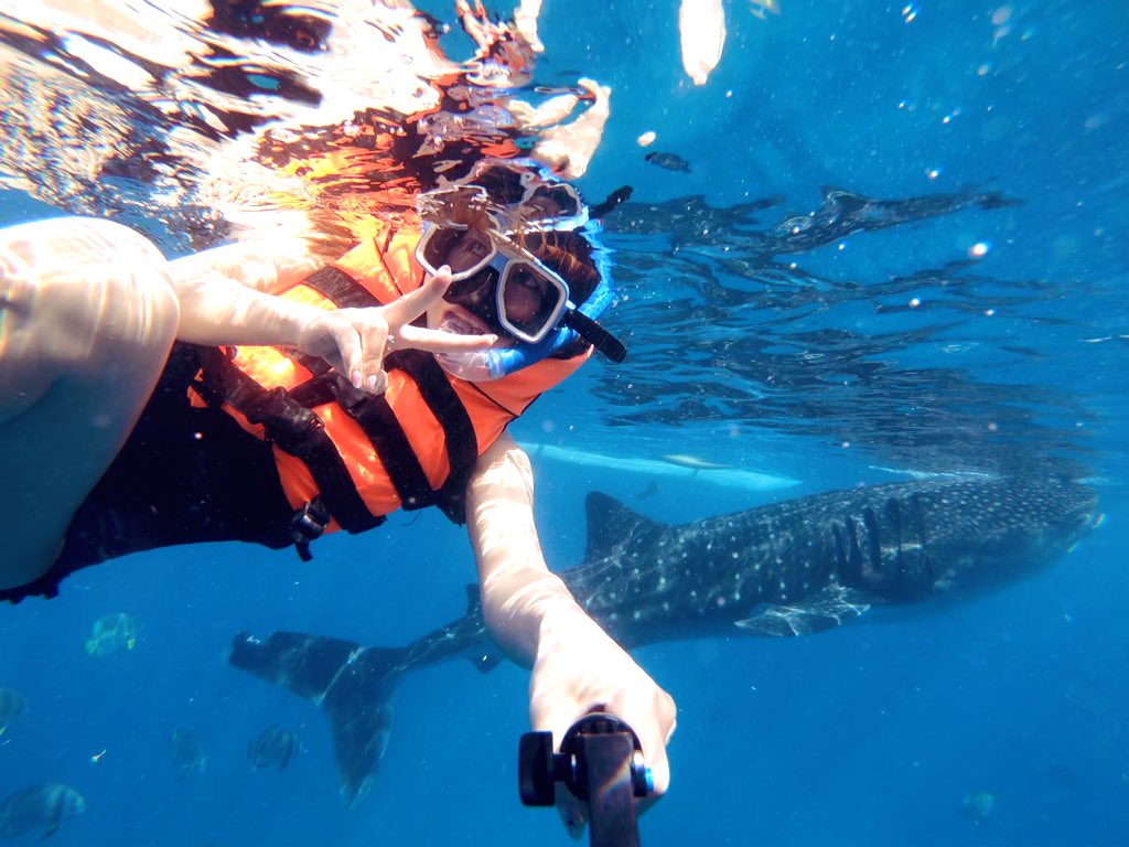 日本coser-いくみ – (193iKkyu3) [Twitter] (10.11.2022) [2476P116V-1.04GB]_第60集