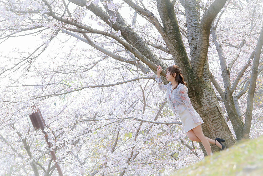 日本coser-いくみ – (193iKkyu3) [Twitter] (10.11.2022) [2476P116V-1.04GB]_第61集