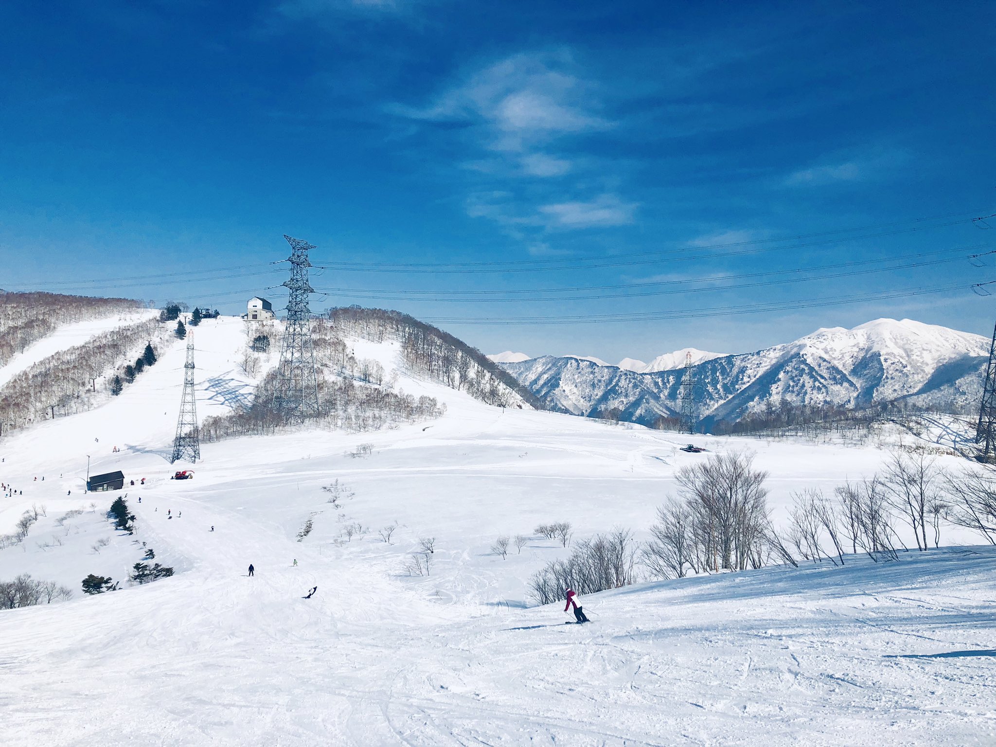 日本coser-いくみ – (193iKkyu3) [Twitter] (10.11.2022) [2476P116V-1.04GB]_第63集