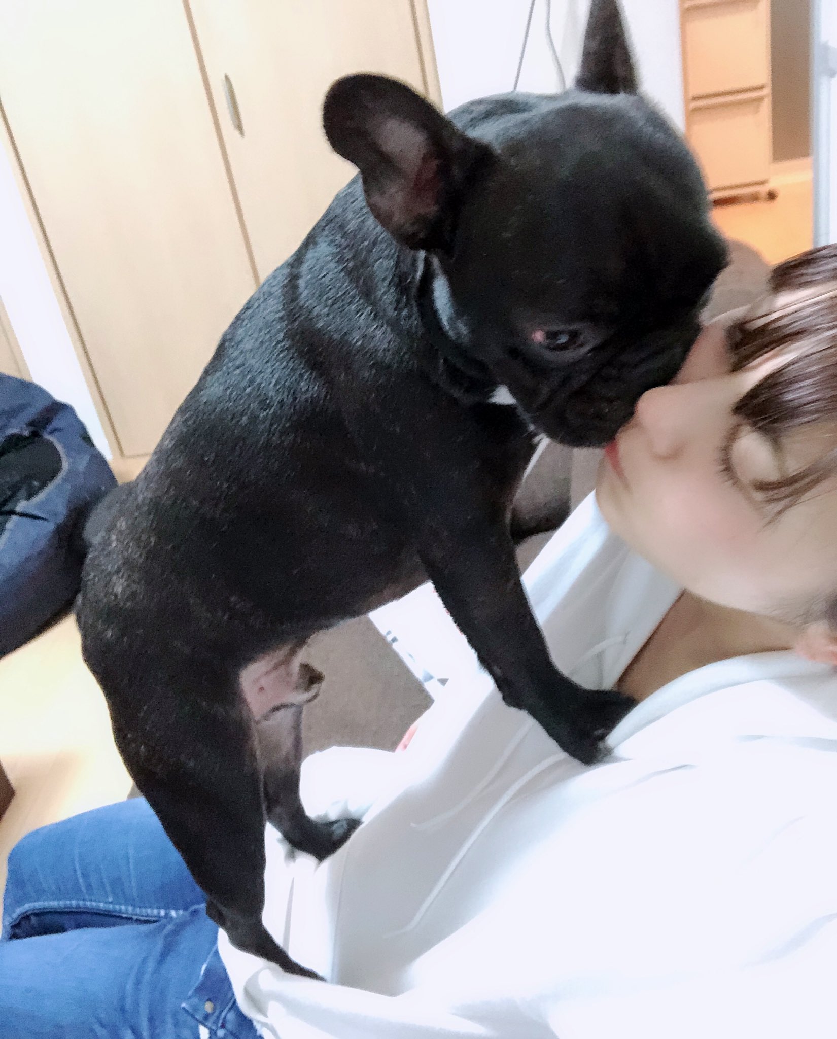 日本coser-いくみ – (193iKkyu3) [Twitter] (10.11.2022) [2476P116V-1.04GB]_第63集