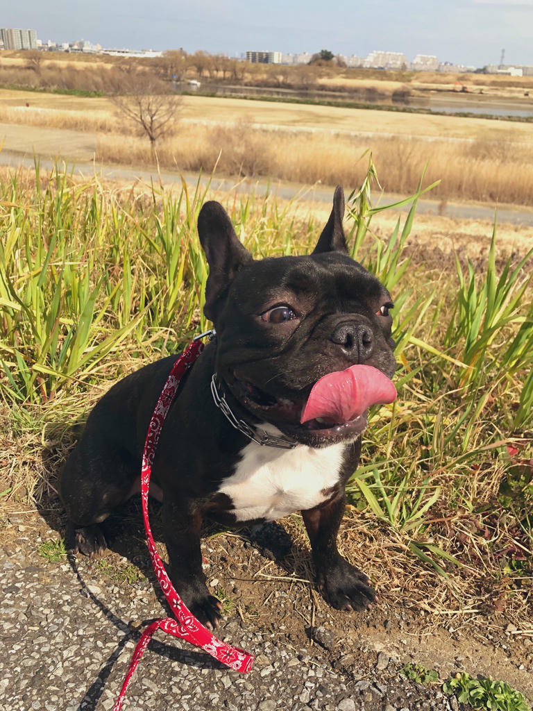 日本coser-いくみ – (193iKkyu3) [Twitter] (10.11.2022) [2476P116V-1.04GB]_第63集