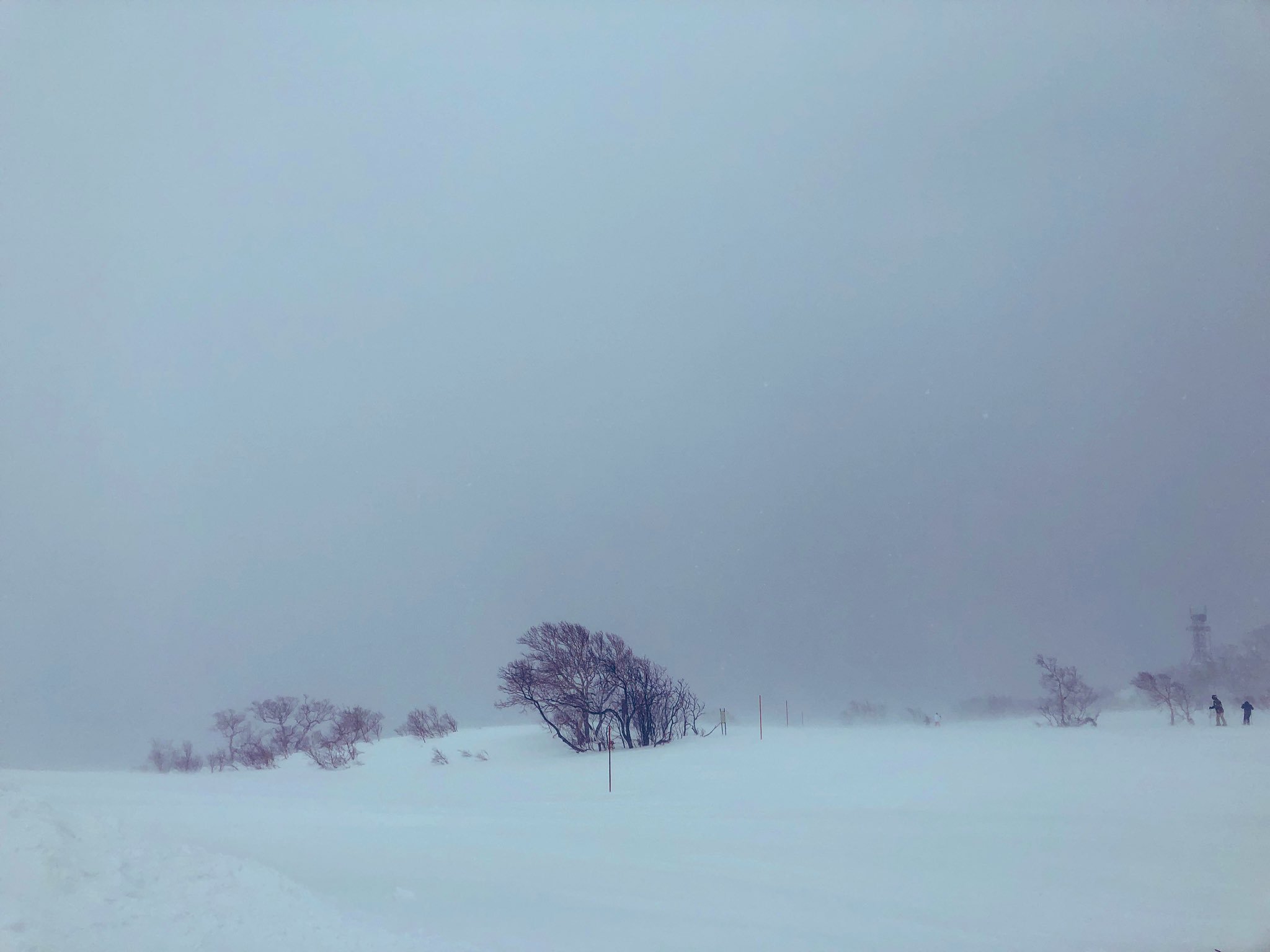 日本coser-いくみ – (193iKkyu3) [Twitter] (10.11.2022) [2476P116V-1.04GB]_第64集