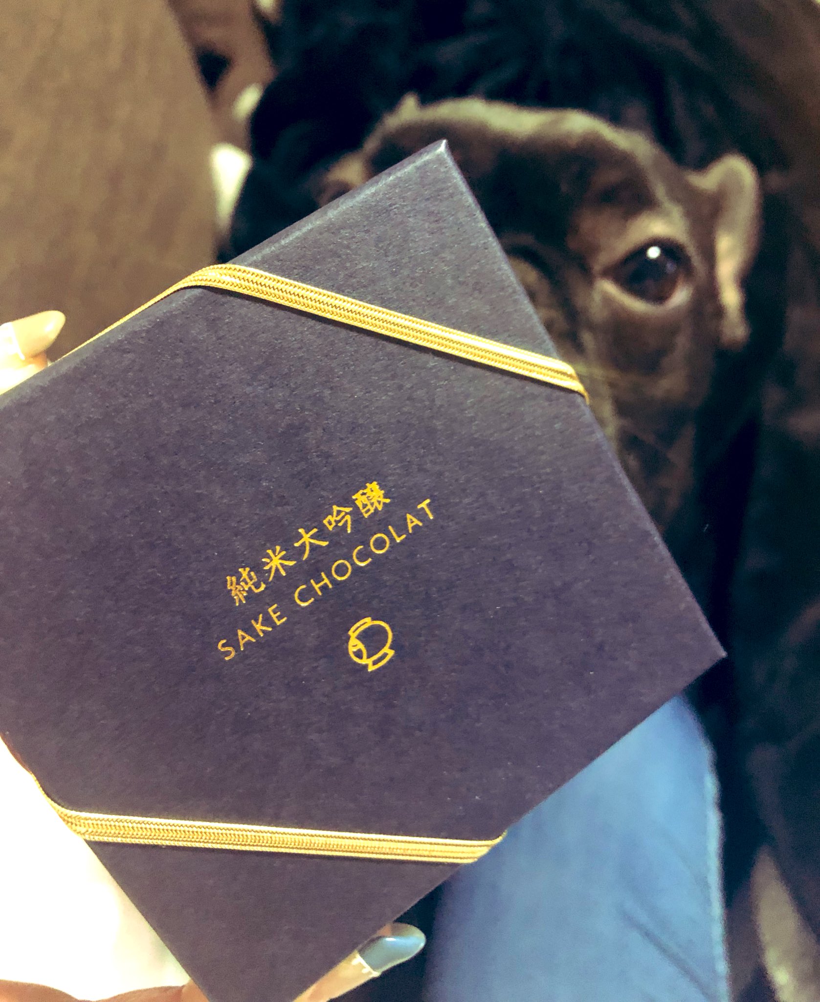 日本coser-いくみ – (193iKkyu3) [Twitter] (10.11.2022) [2476P116V-1.04GB]_第64集