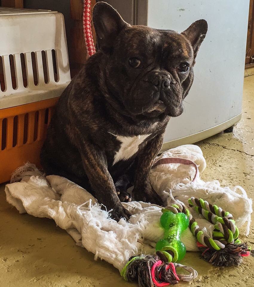 日本coser-いくみ – (193iKkyu3) [Twitter] (10.11.2022) [2476P116V-1.04GB]_第65集