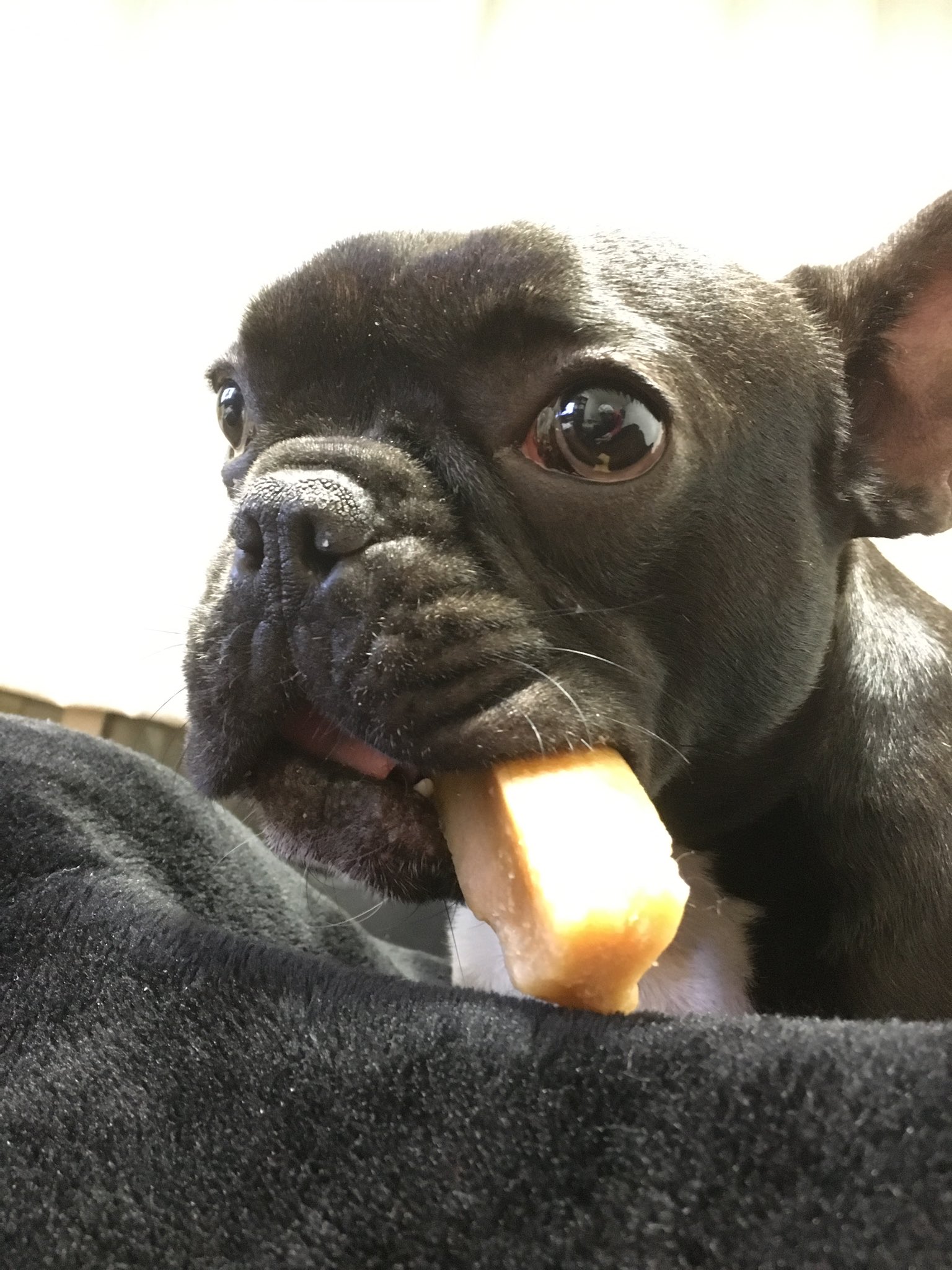 日本coser-いくみ – (193iKkyu3) [Twitter] (10.11.2022) [2476P116V-1.04GB]_第65集