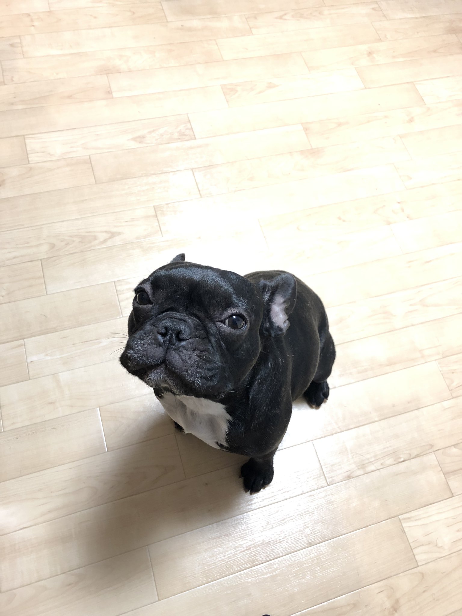 日本coser-いくみ – (193iKkyu3) [Twitter] (10.11.2022) [2476P116V-1.04GB]_第65集