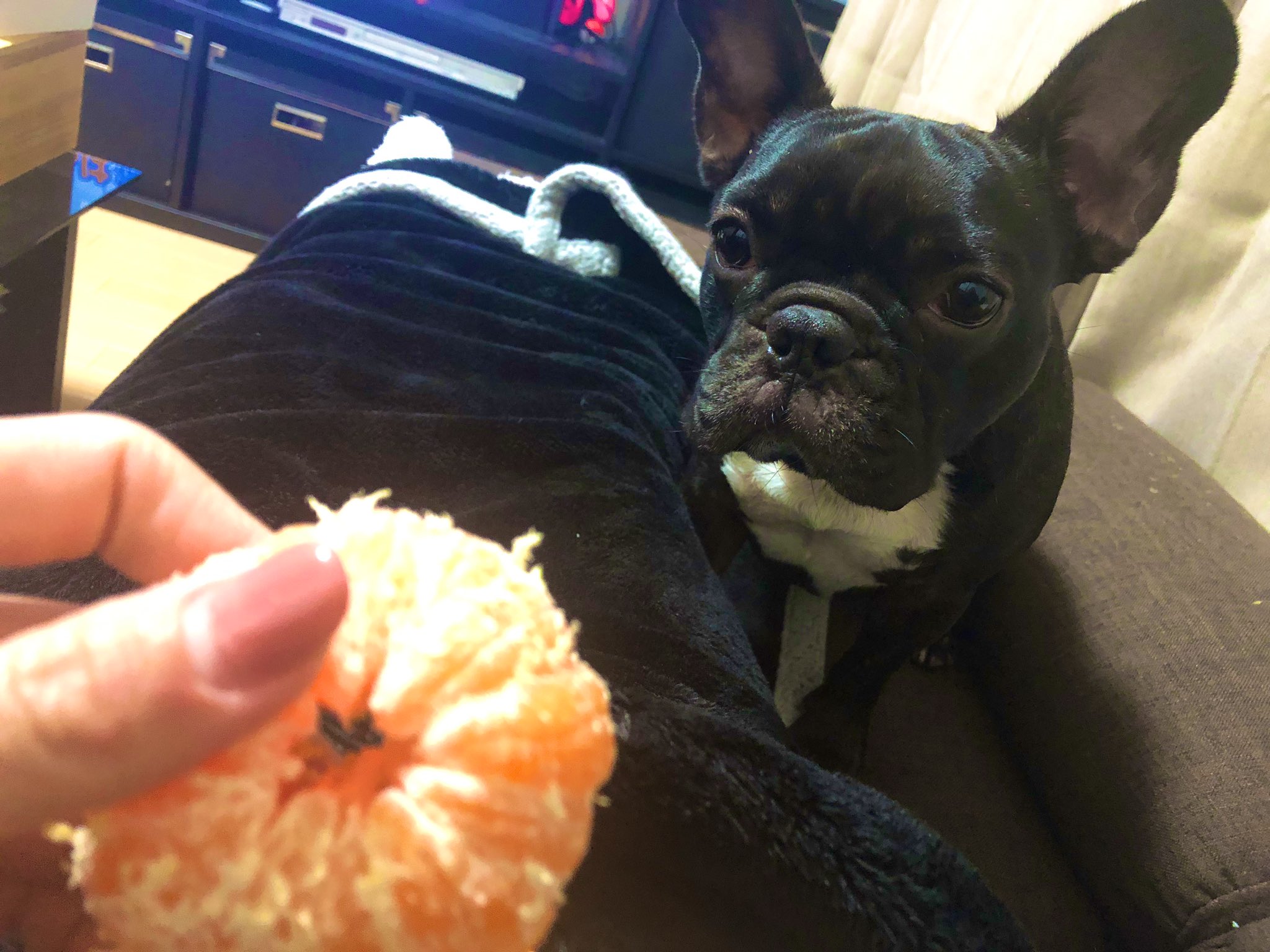 日本coser-いくみ – (193iKkyu3) [Twitter] (10.11.2022) [2476P116V-1.04GB]_第66集