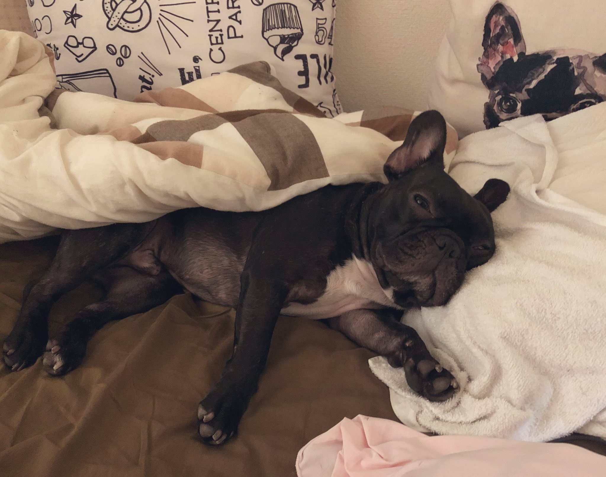 日本coser-いくみ – (193iKkyu3) [Twitter] (10.11.2022) [2476P116V-1.04GB]_第67集