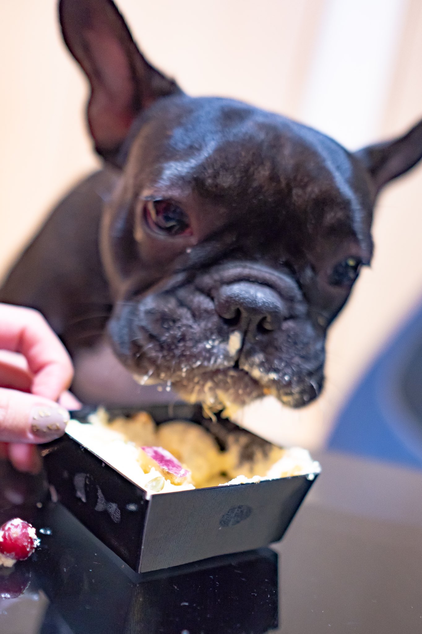 日本coser-いくみ – (193iKkyu3) [Twitter] (10.11.2022) [2476P116V-1.04GB]_第68集