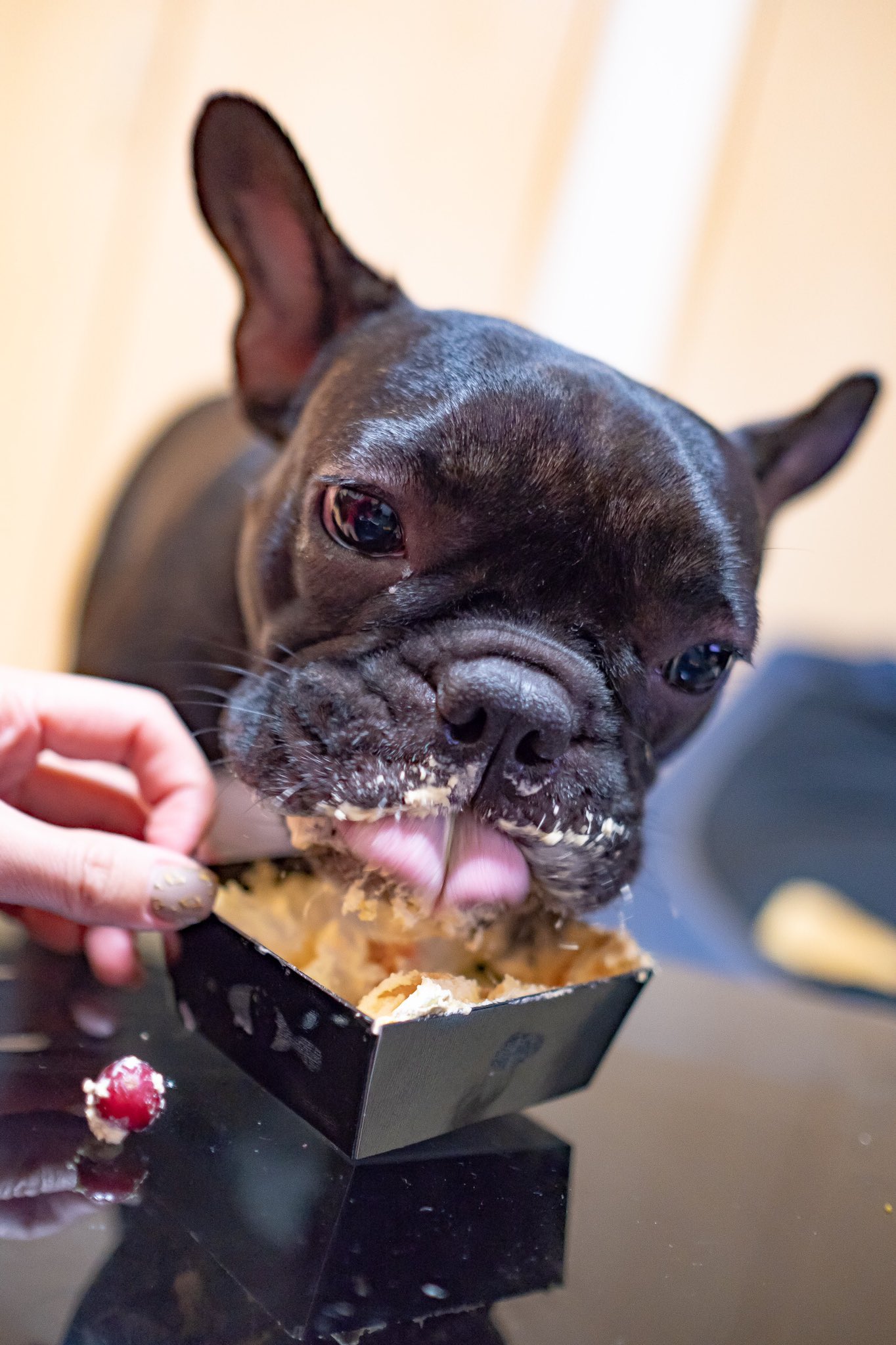 日本coser-いくみ – (193iKkyu3) [Twitter] (10.11.2022) [2476P116V-1.04GB]_第68集