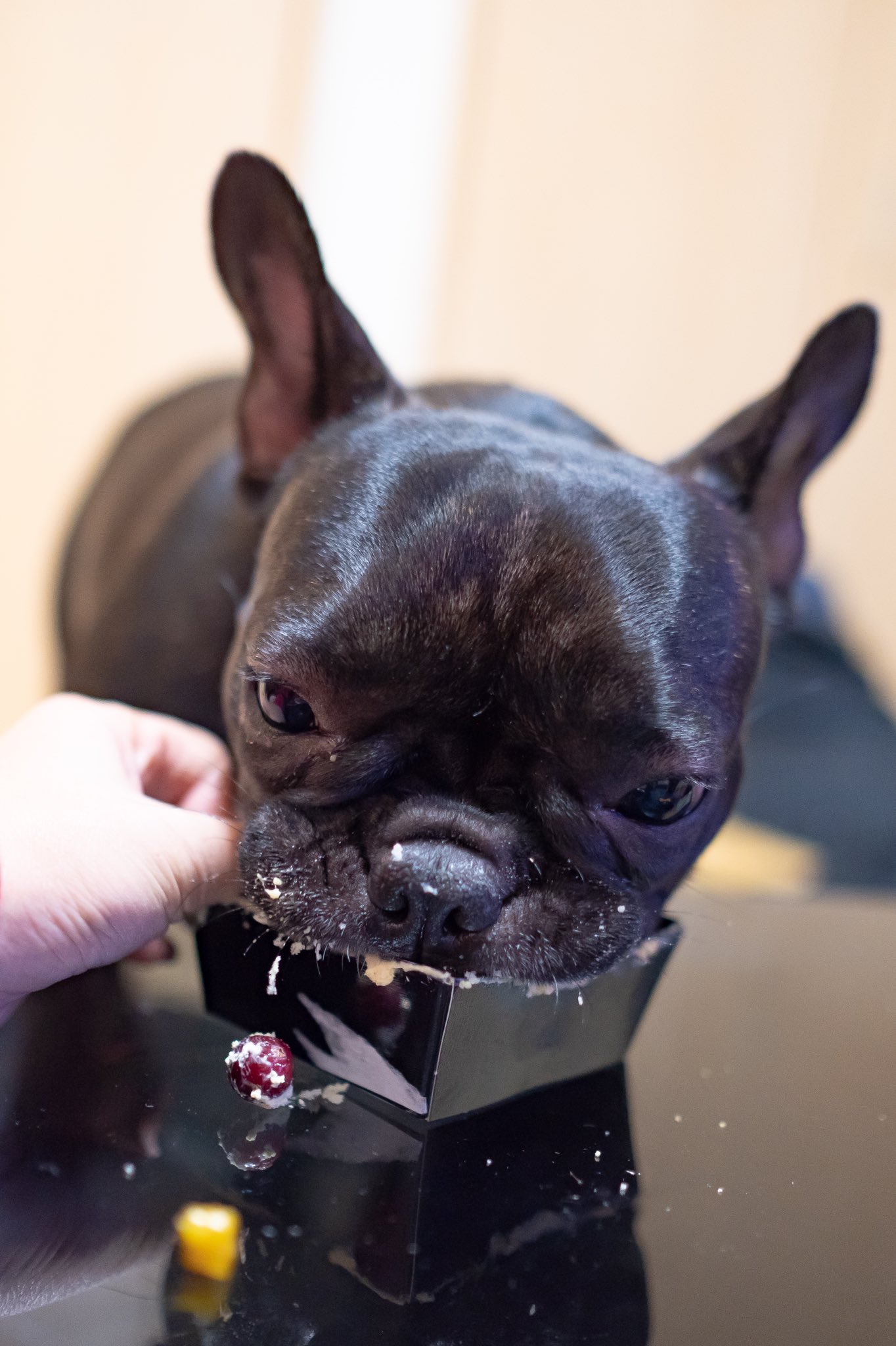 日本coser-いくみ – (193iKkyu3) [Twitter] (10.11.2022) [2476P116V-1.04GB]_第68集