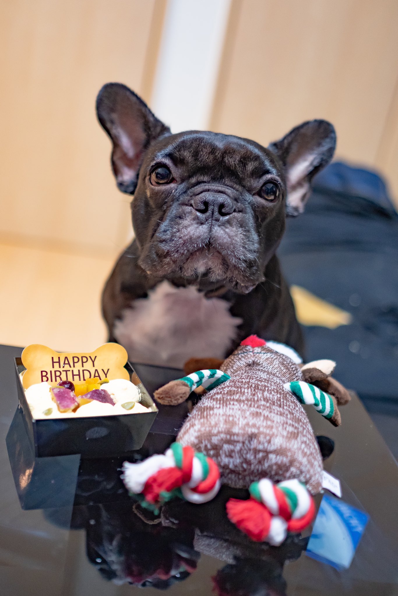 日本coser-いくみ – (193iKkyu3) [Twitter] (10.11.2022) [2476P116V-1.04GB]_第68集