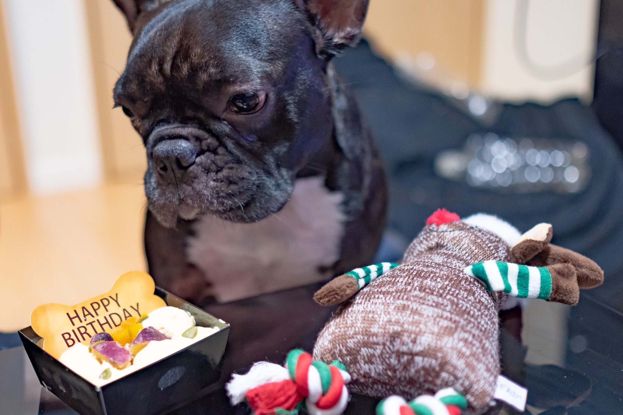 日本coser-いくみ – (193iKkyu3) [Twitter] (10.11.2022) [2476P116V-1.04GB]_第68集