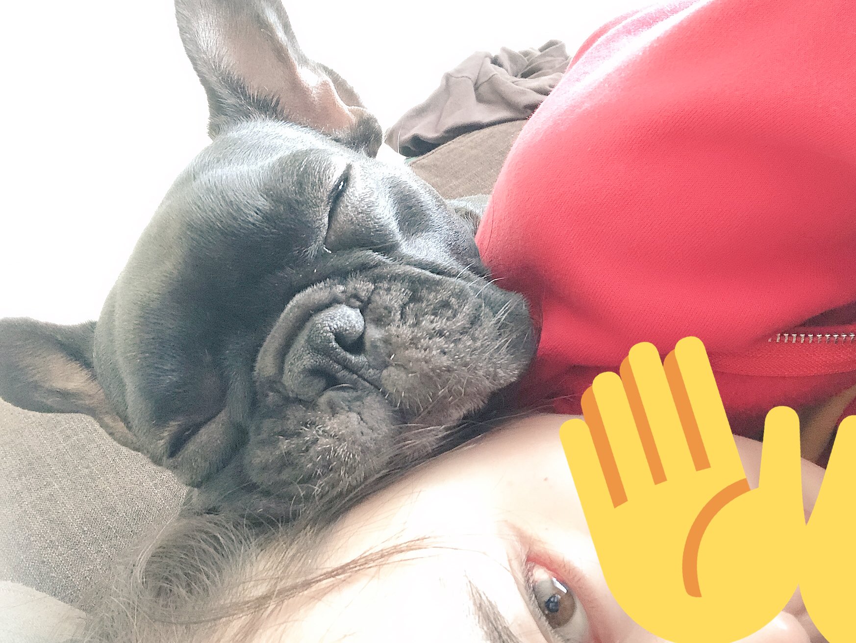 日本coser-いくみ – (193iKkyu3) [Twitter] (10.11.2022) [2476P116V-1.04GB]_第68集