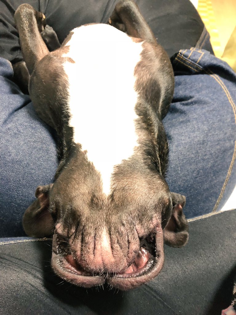 日本coser-いくみ – (193iKkyu3) [Twitter] (10.11.2022) [2476P116V-1.04GB]_第68集