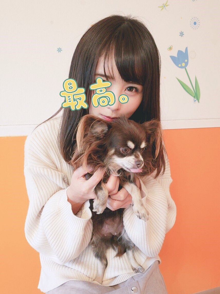 日本coser-いくみ – (193iKkyu3) [Twitter] (10.11.2022) [2476P116V-1.04GB]_第68集