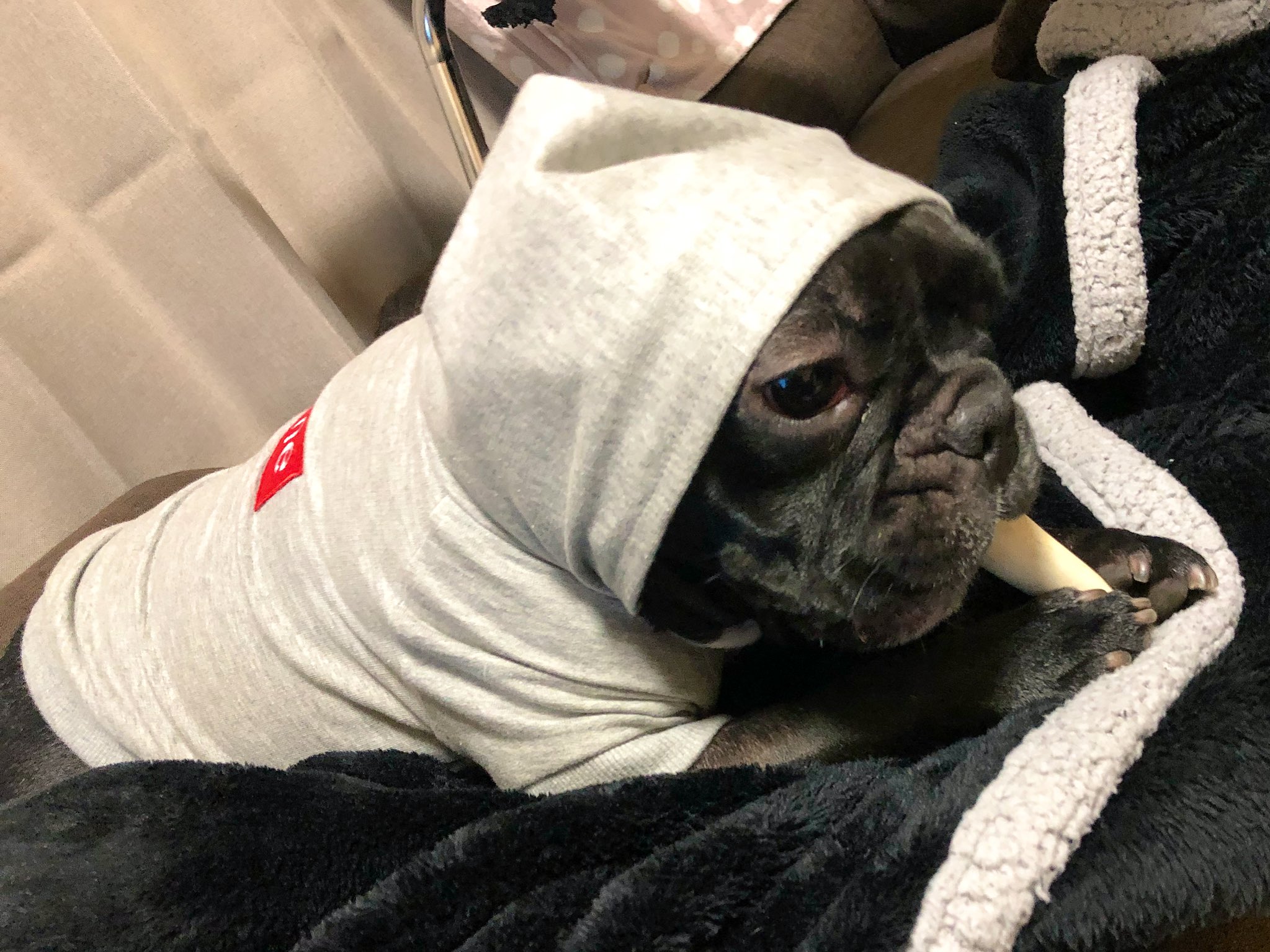 日本coser-いくみ – (193iKkyu3) [Twitter] (10.11.2022) [2476P116V-1.04GB]_第68集