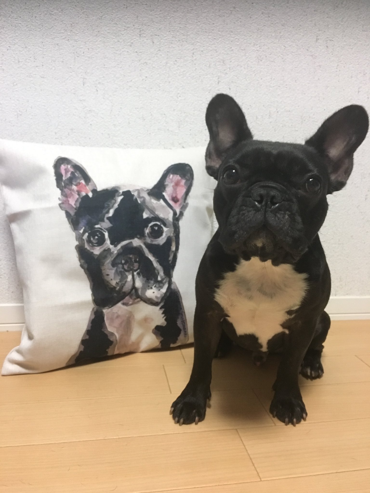 日本coser-いくみ – (193iKkyu3) [Twitter] (10.11.2022) [2476P116V-1.04GB]_第69集