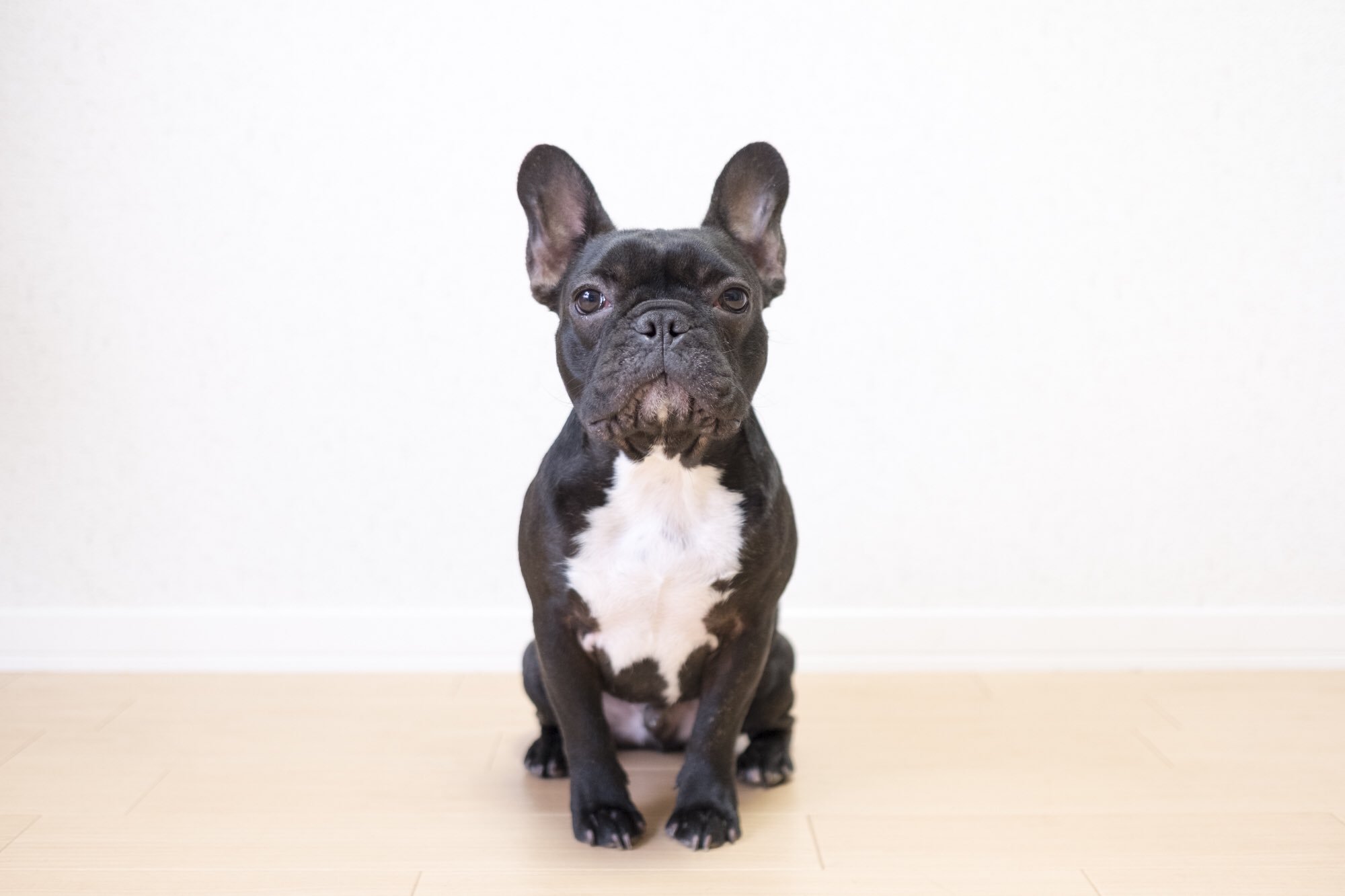 日本coser-いくみ – (193iKkyu3) [Twitter] (10.11.2022) [2476P116V-1.04GB]_第69集