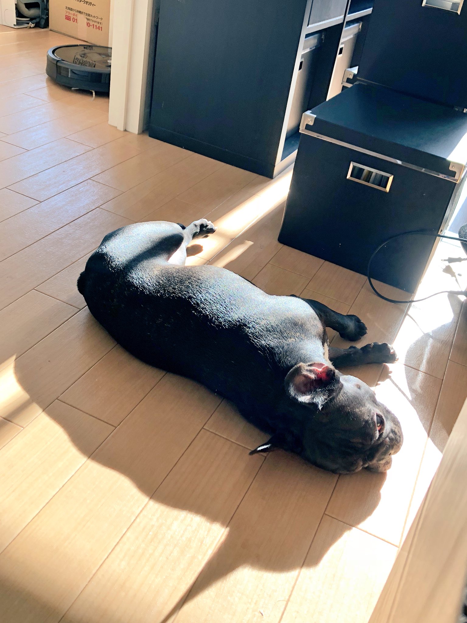 日本coser-いくみ – (193iKkyu3) [Twitter] (10.11.2022) [2476P116V-1.04GB]_第69集