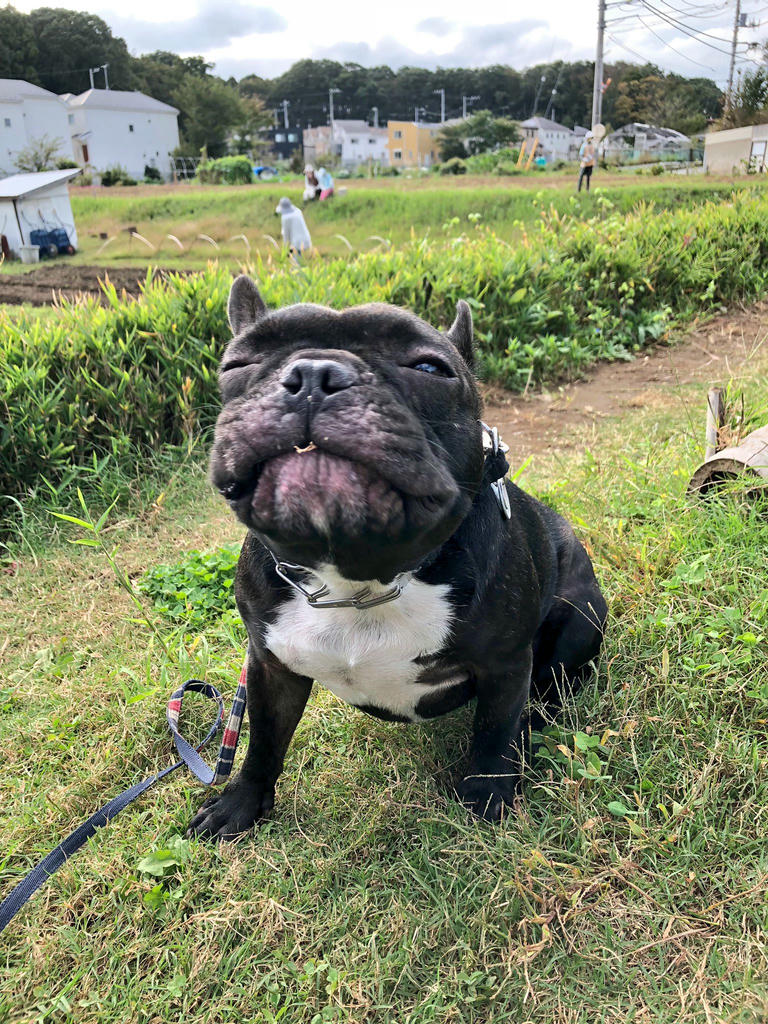 日本coser-いくみ – (193iKkyu3) [Twitter] (10.11.2022) [2476P116V-1.04GB]_第69集