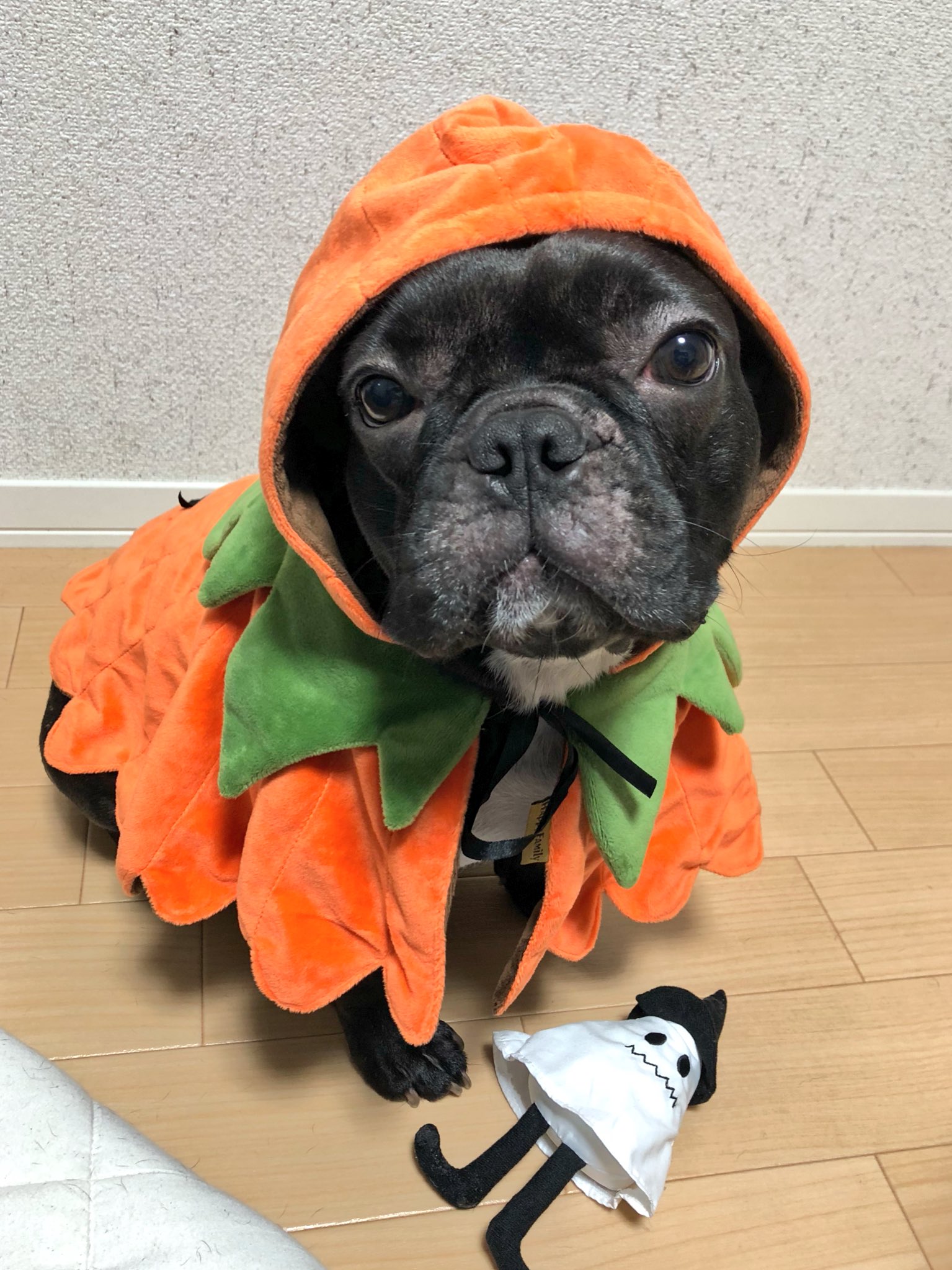 日本coser-いくみ – (193iKkyu3) [Twitter] (10.11.2022) [2476P116V-1.04GB]_第70集