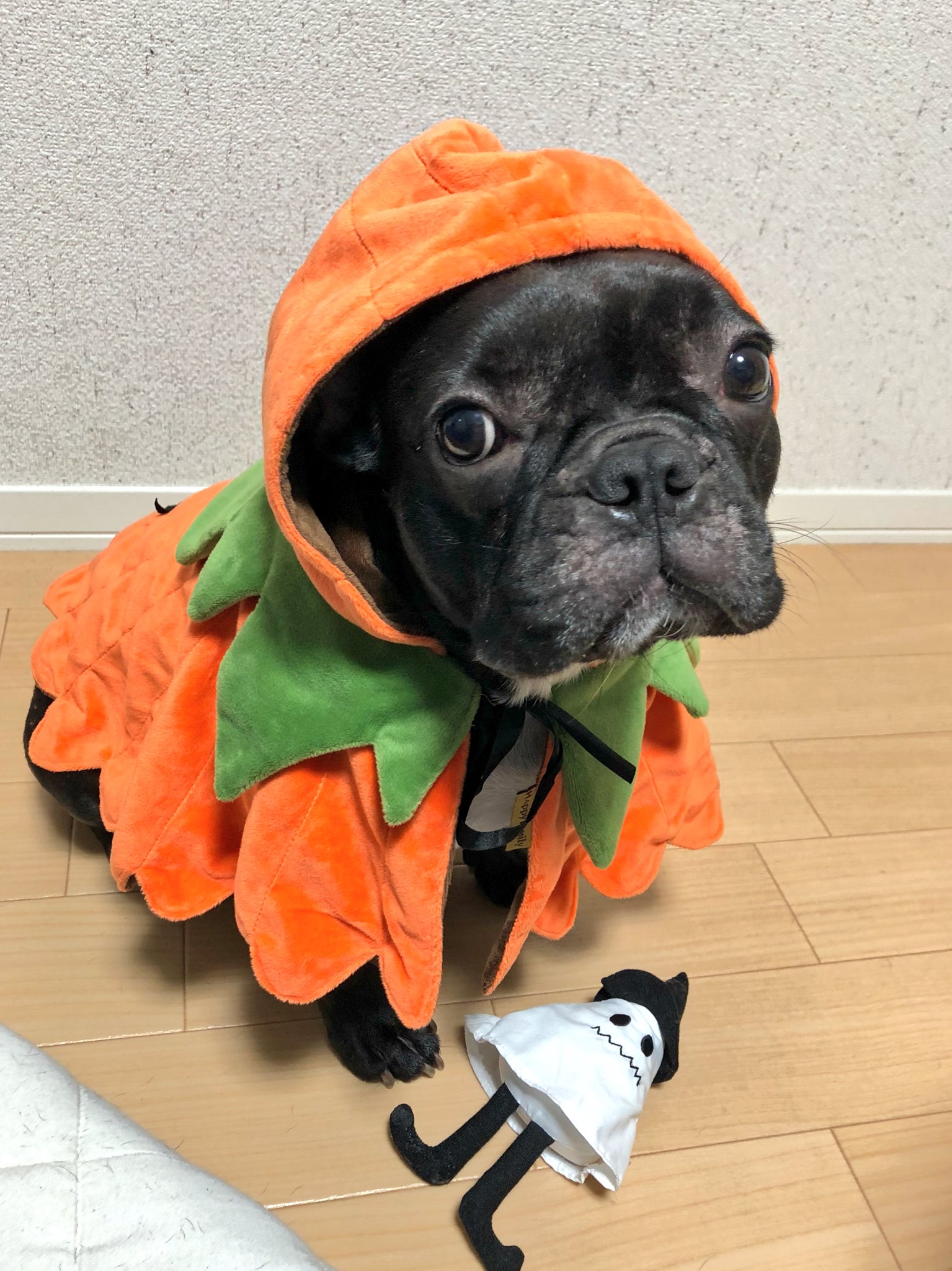 日本coser-いくみ – (193iKkyu3) [Twitter] (10.11.2022) [2476P116V-1.04GB]_第70集