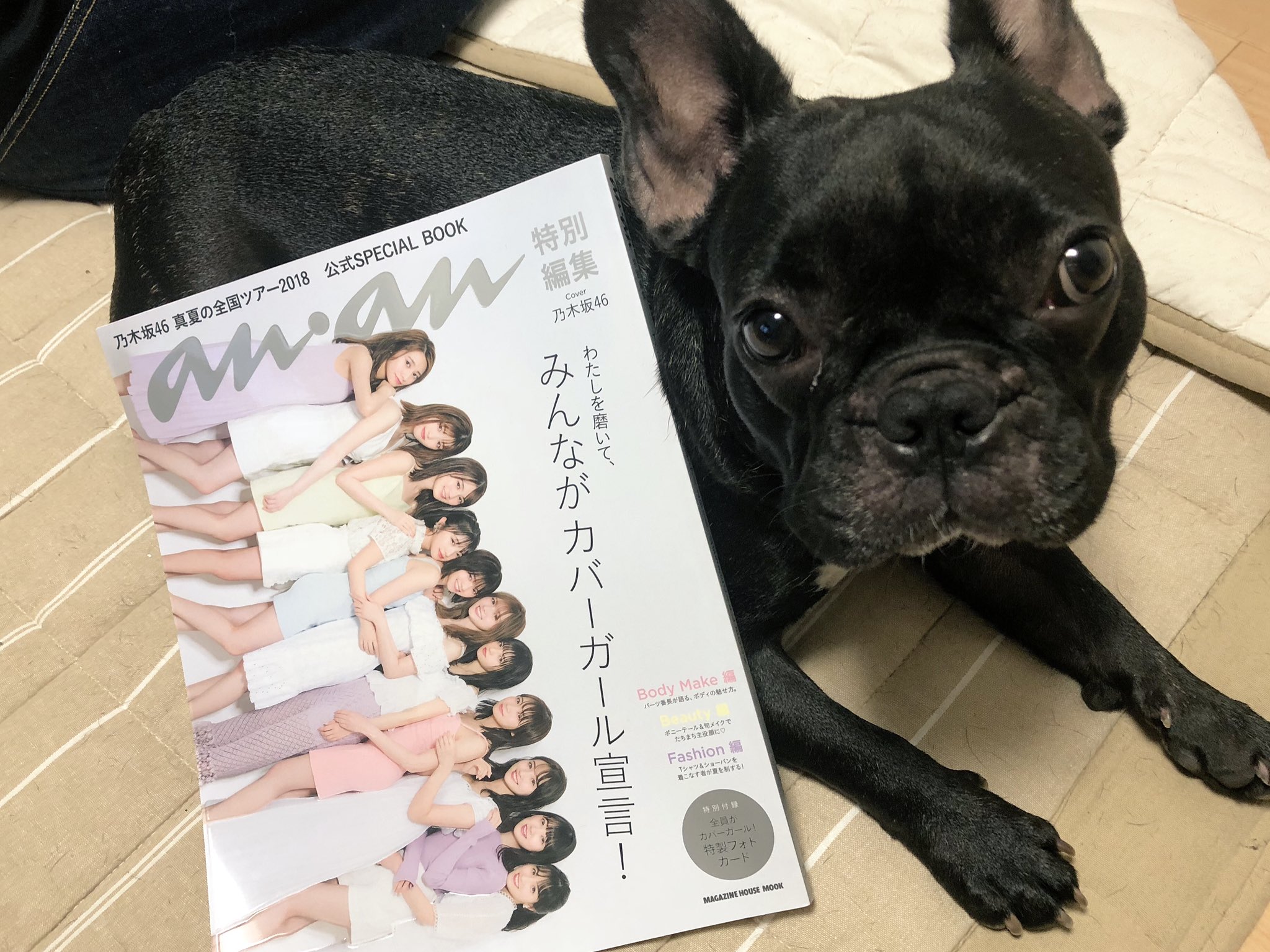 日本coser-いくみ – (193iKkyu3) [Twitter] (10.11.2022) [2476P116V-1.04GB]_第70集