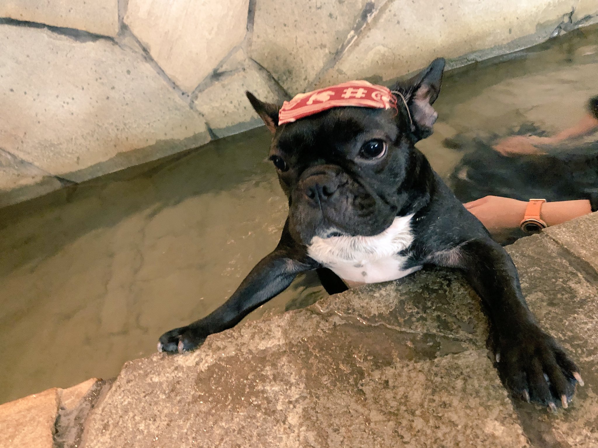 日本coser-いくみ – (193iKkyu3) [Twitter] (10.11.2022) [2476P116V-1.04GB]_第70集